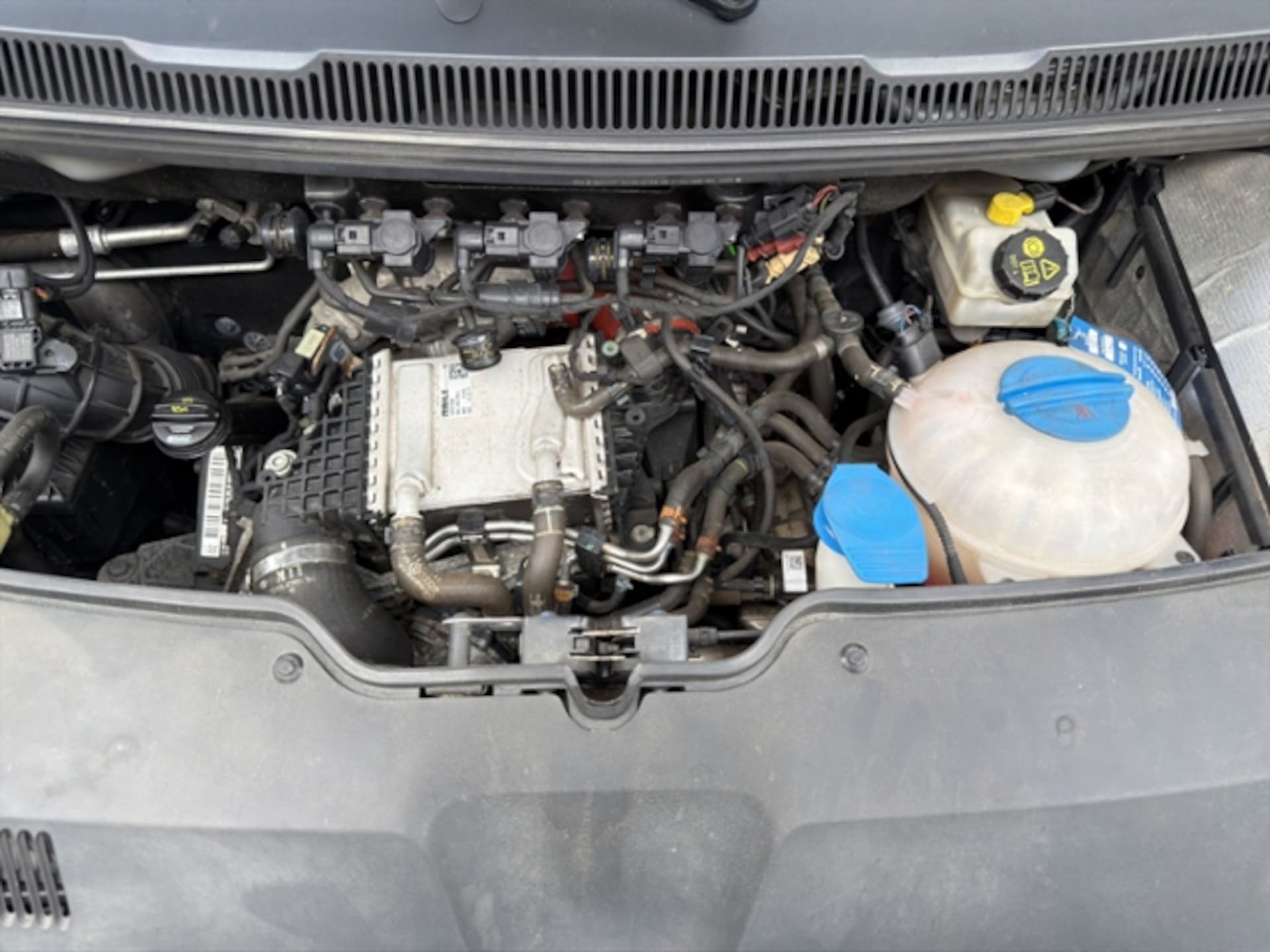 Volkswagen T6 Transporter Kasten kurzer Radstand