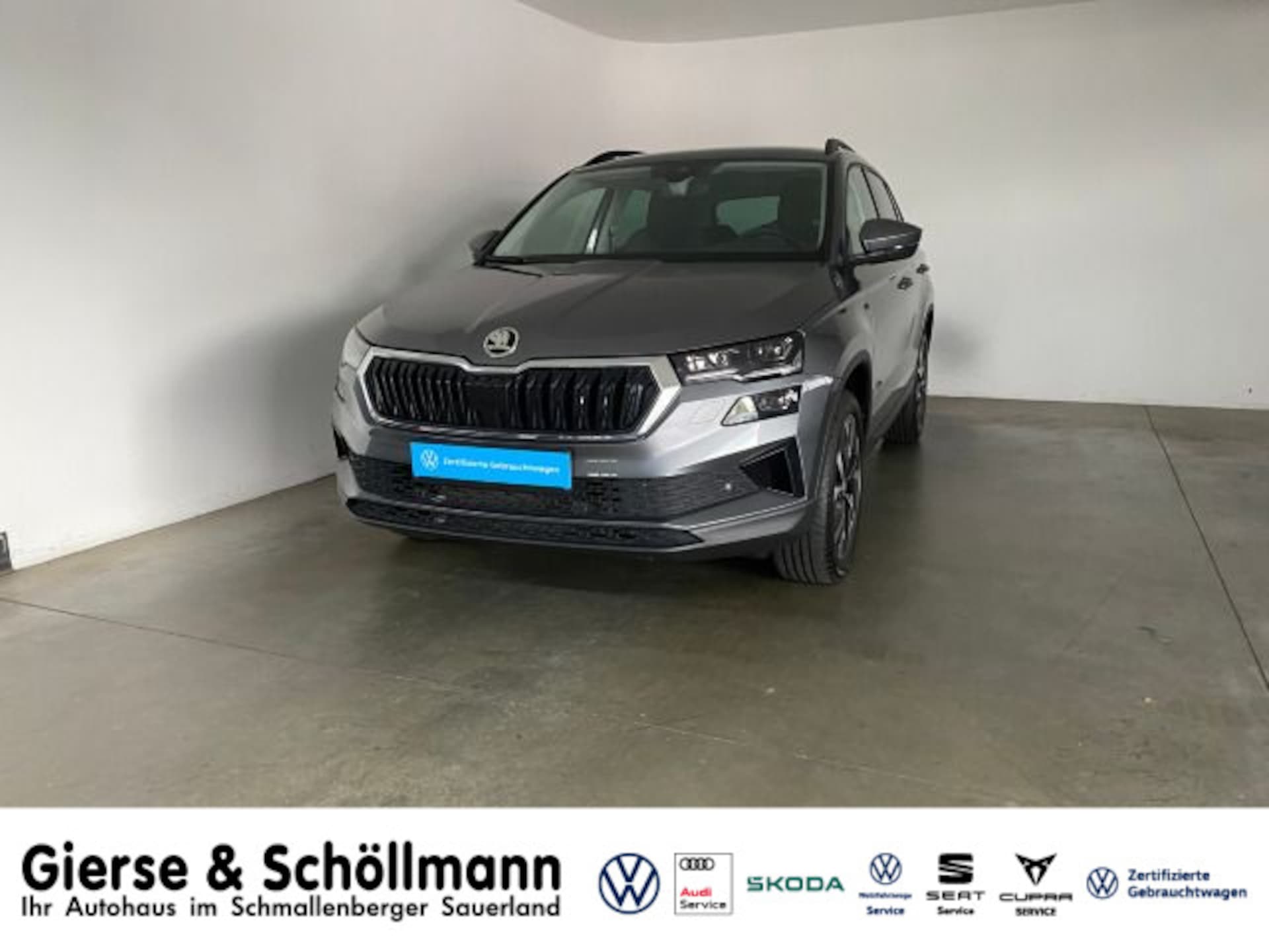 Skoda Karoq Selection