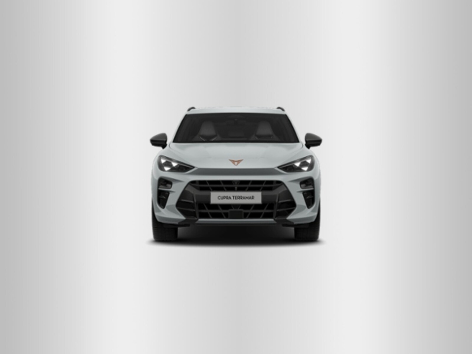 CUPRA Terramar – Bild 4