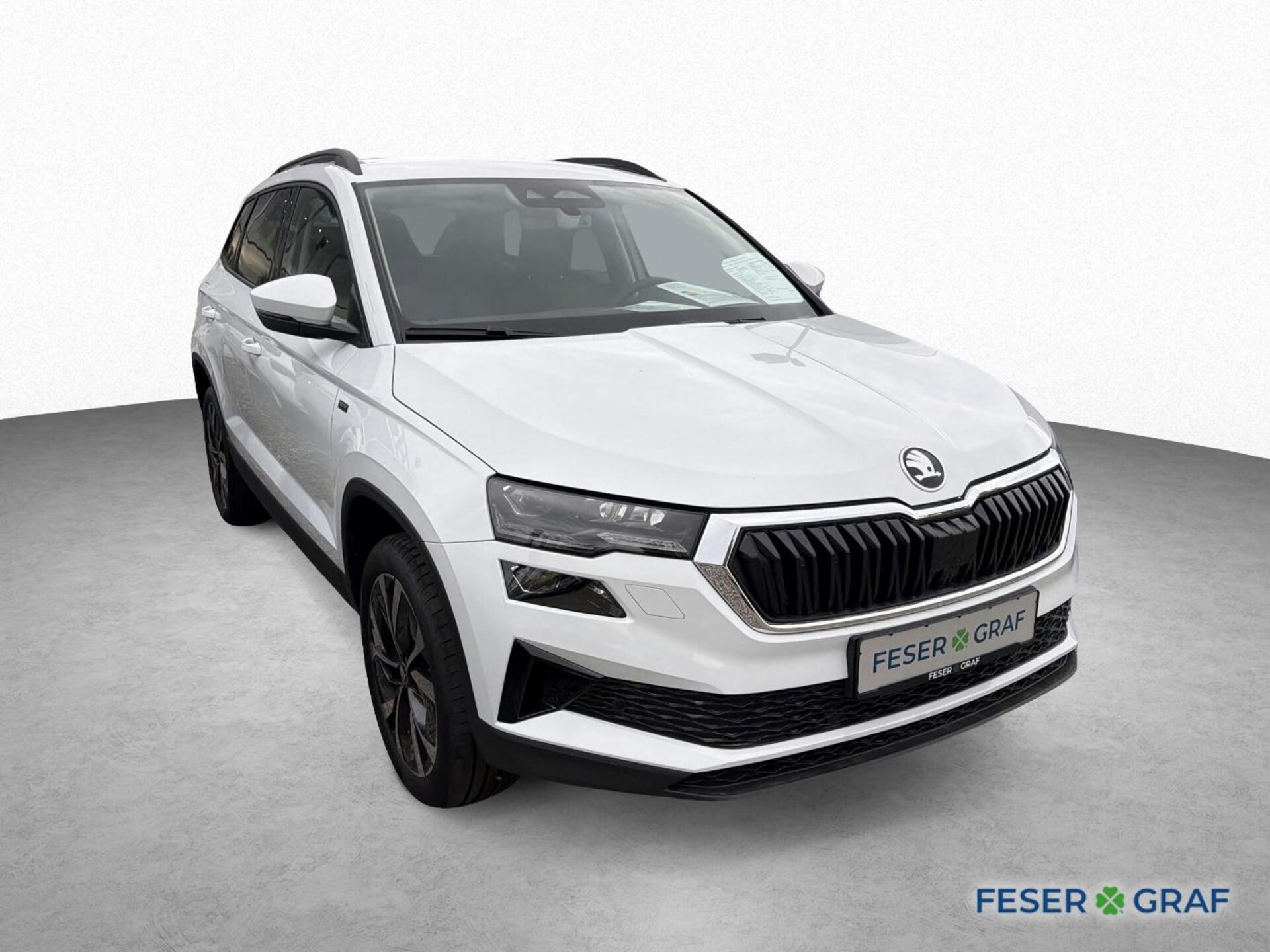 Skoda Karoq Selection