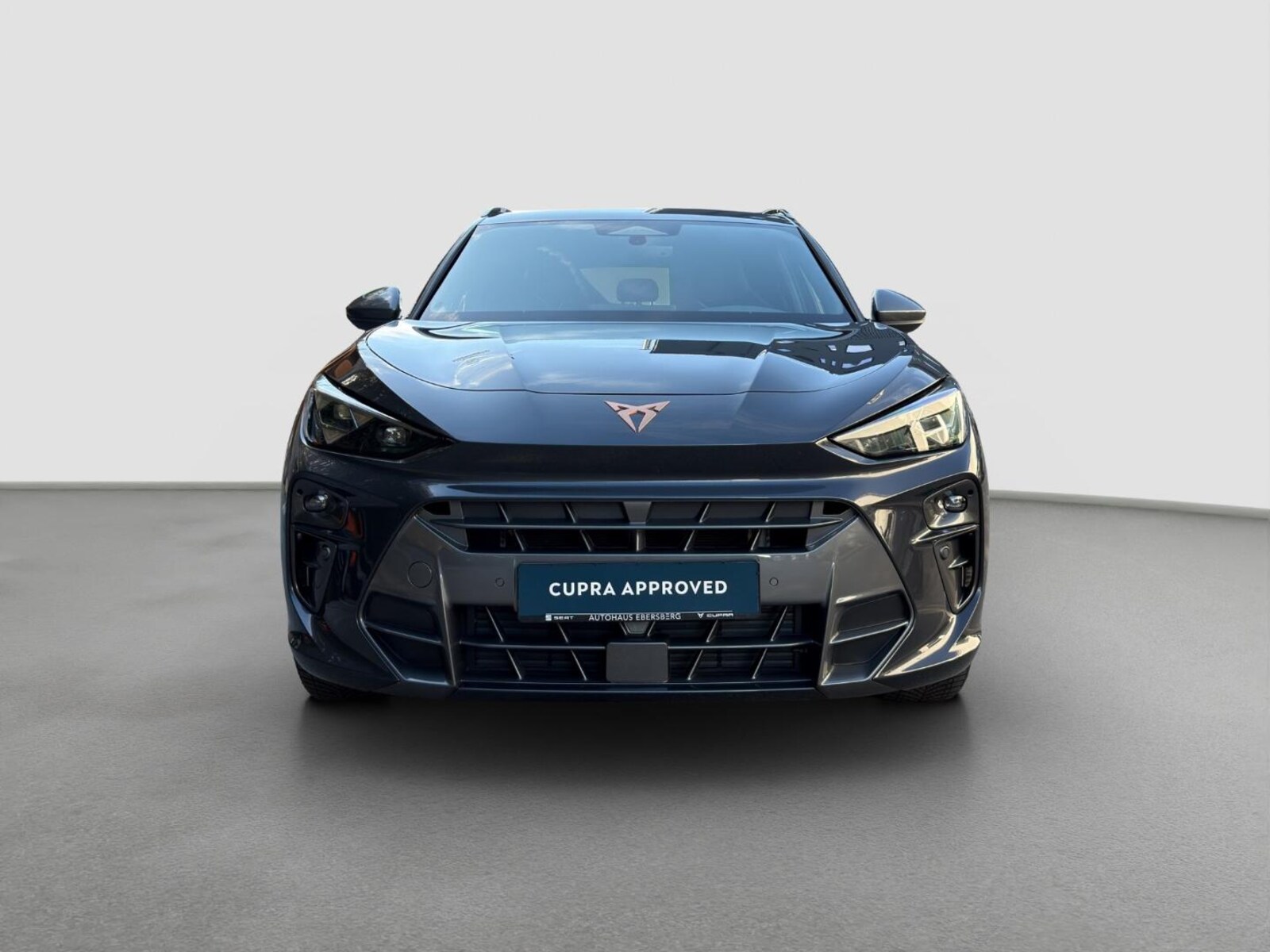 CUPRA Terramar – Bild 3