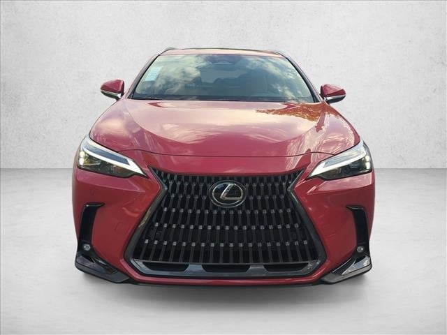 2025 Lexus NX 250