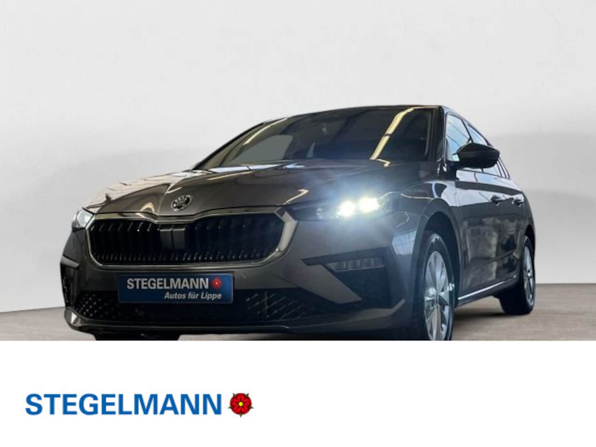 Skoda Scala Selection