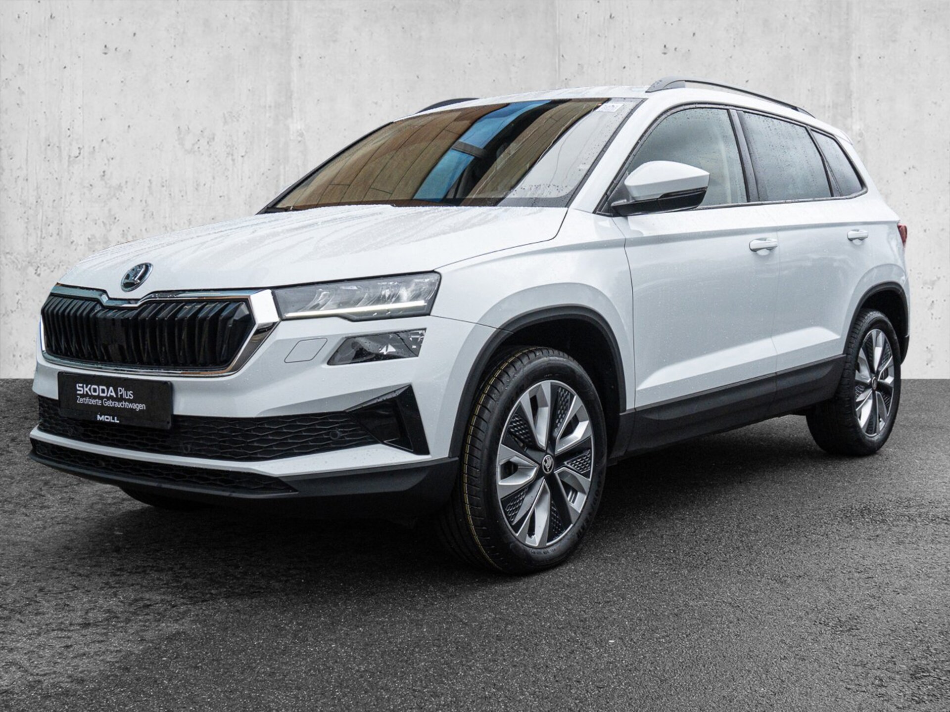 Skoda Karoq Style