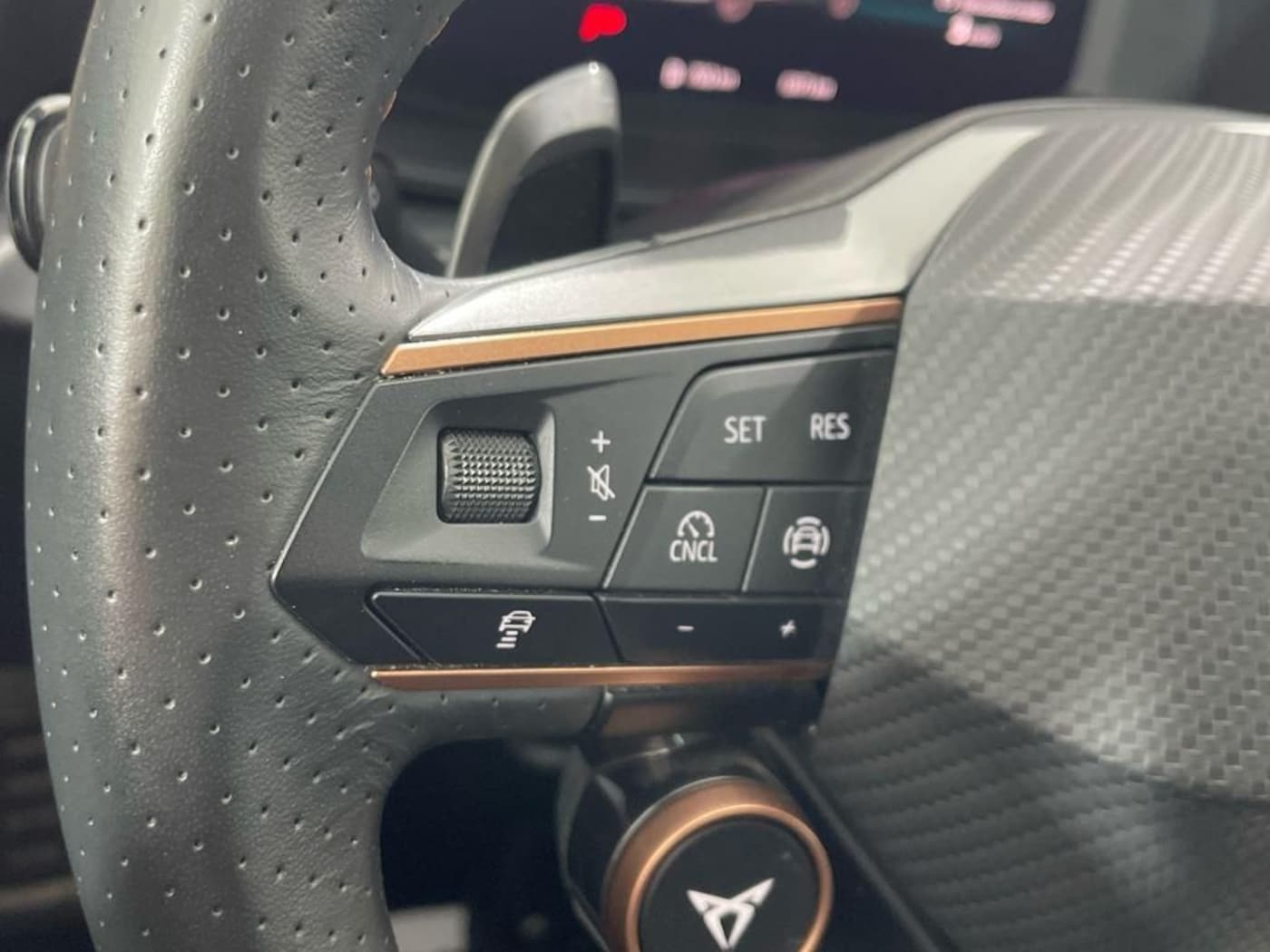 CUPRA Formentor 1.5 eTSI DSG 110 kW (150 CV) — photo 10