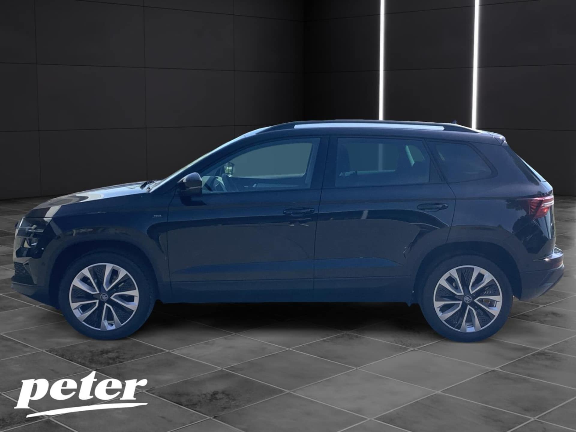 Skoda Karoq Selection