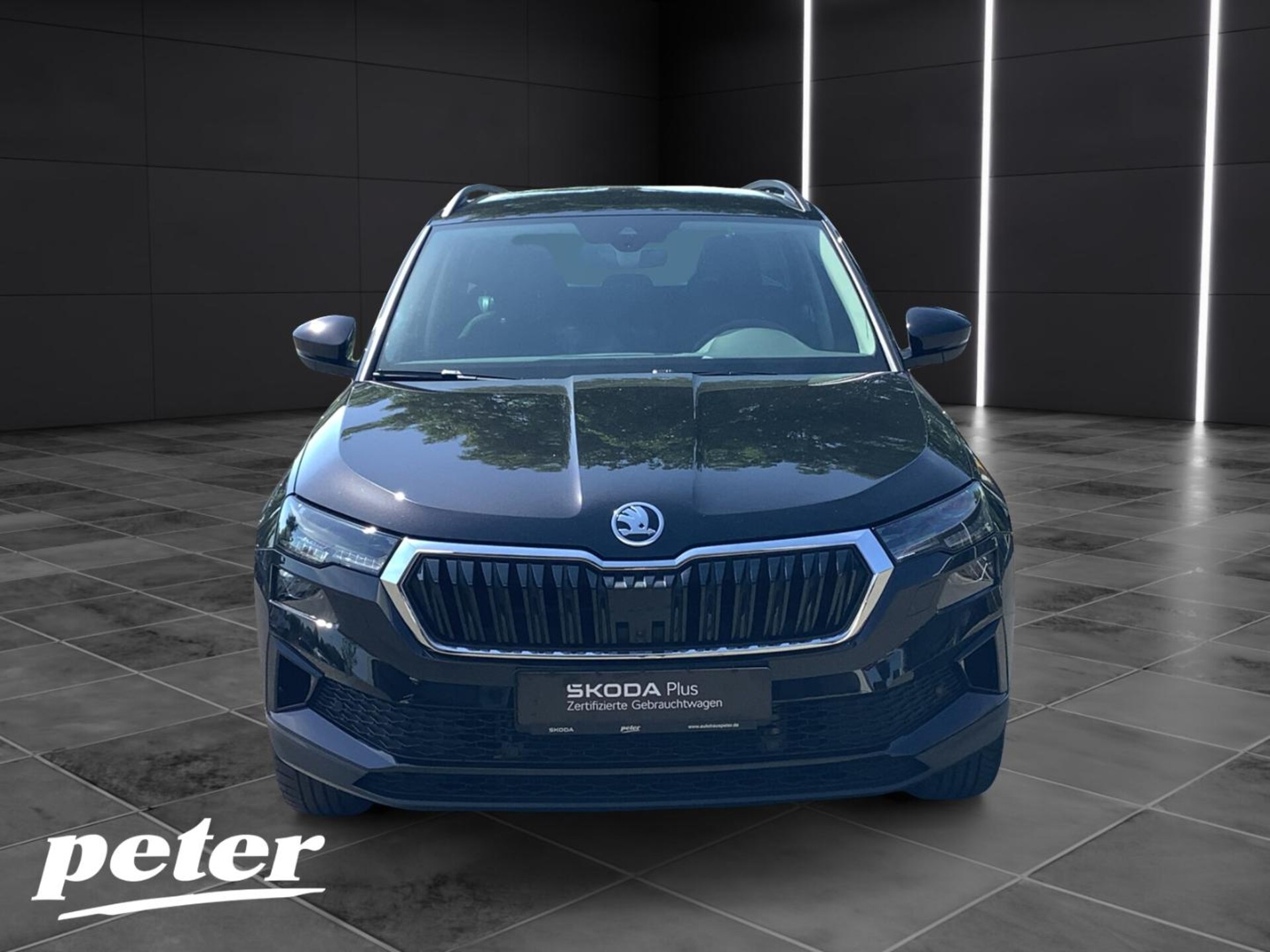 Skoda Karoq Selection