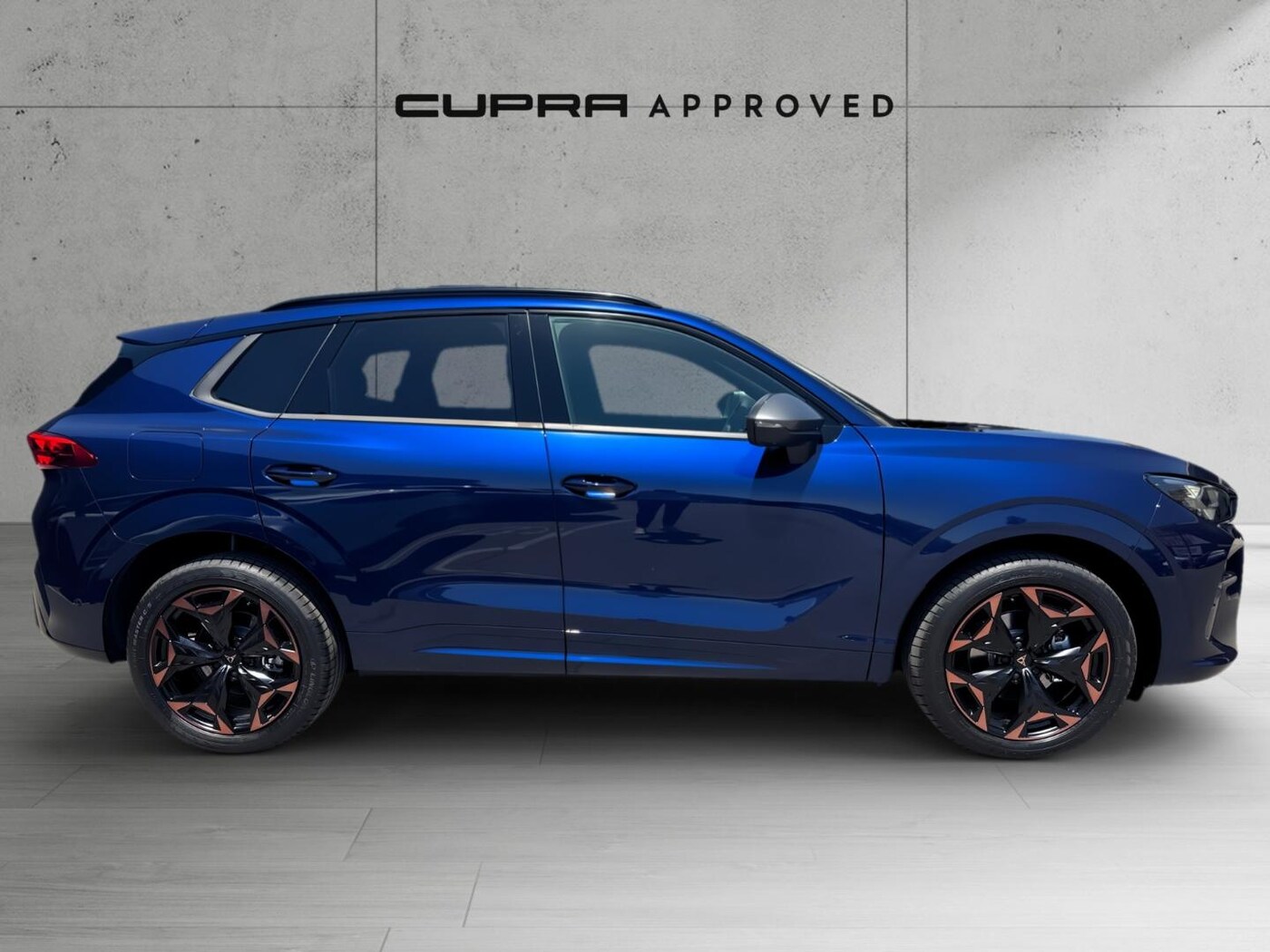 CUPRA Terramar 1.5 eTSI DSG 110 kW (150 CV) — photo 3