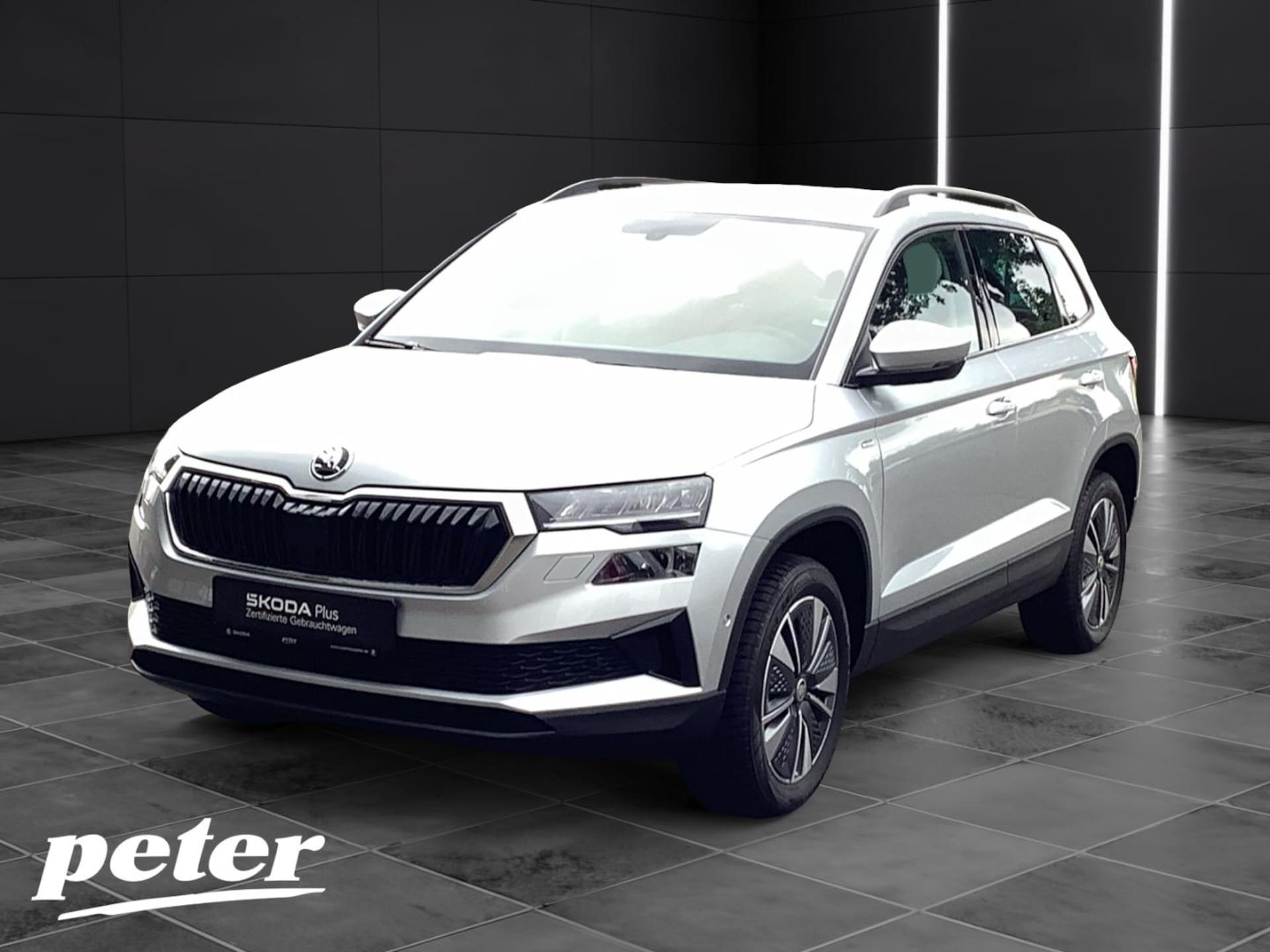 Skoda Karoq Ambition