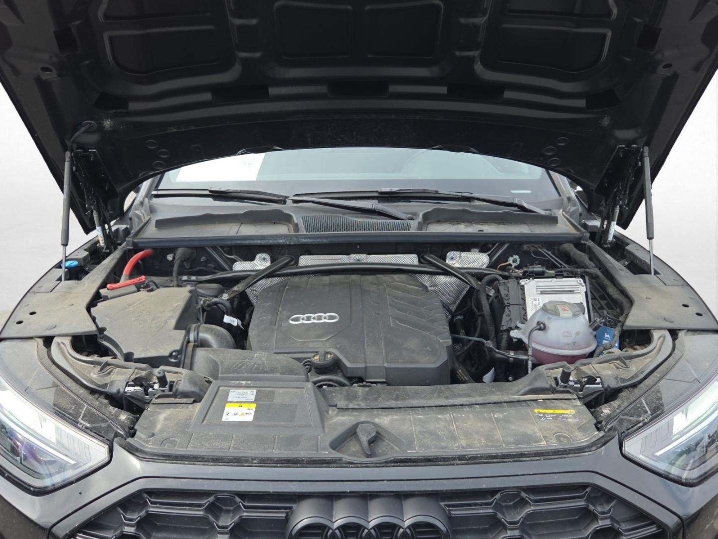 Bild über Audi Q5 40 TFSI quattro S tronic - für weitere Informationen kontaktieren Sie den Audi Partner