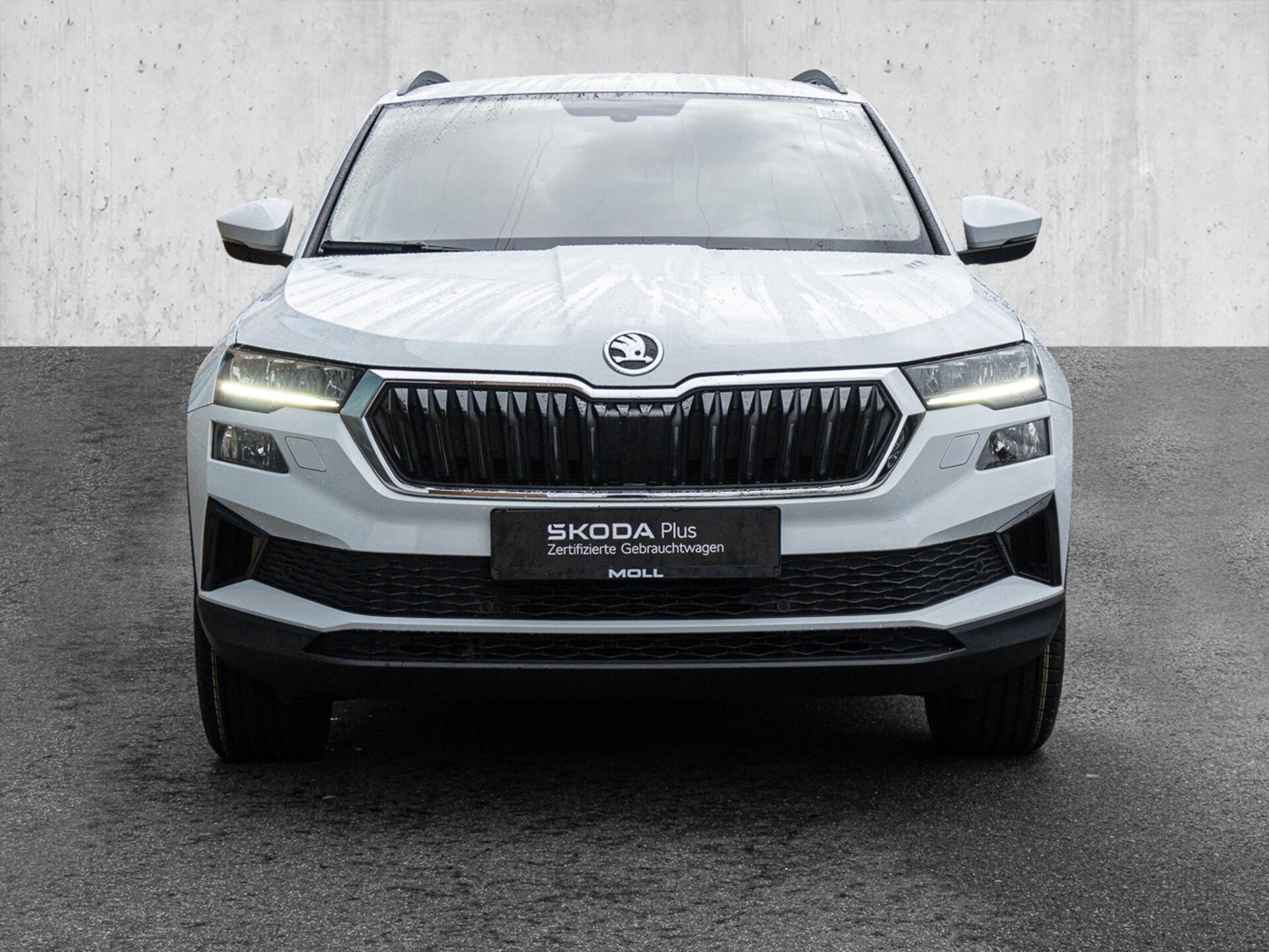 Skoda Karoq Style