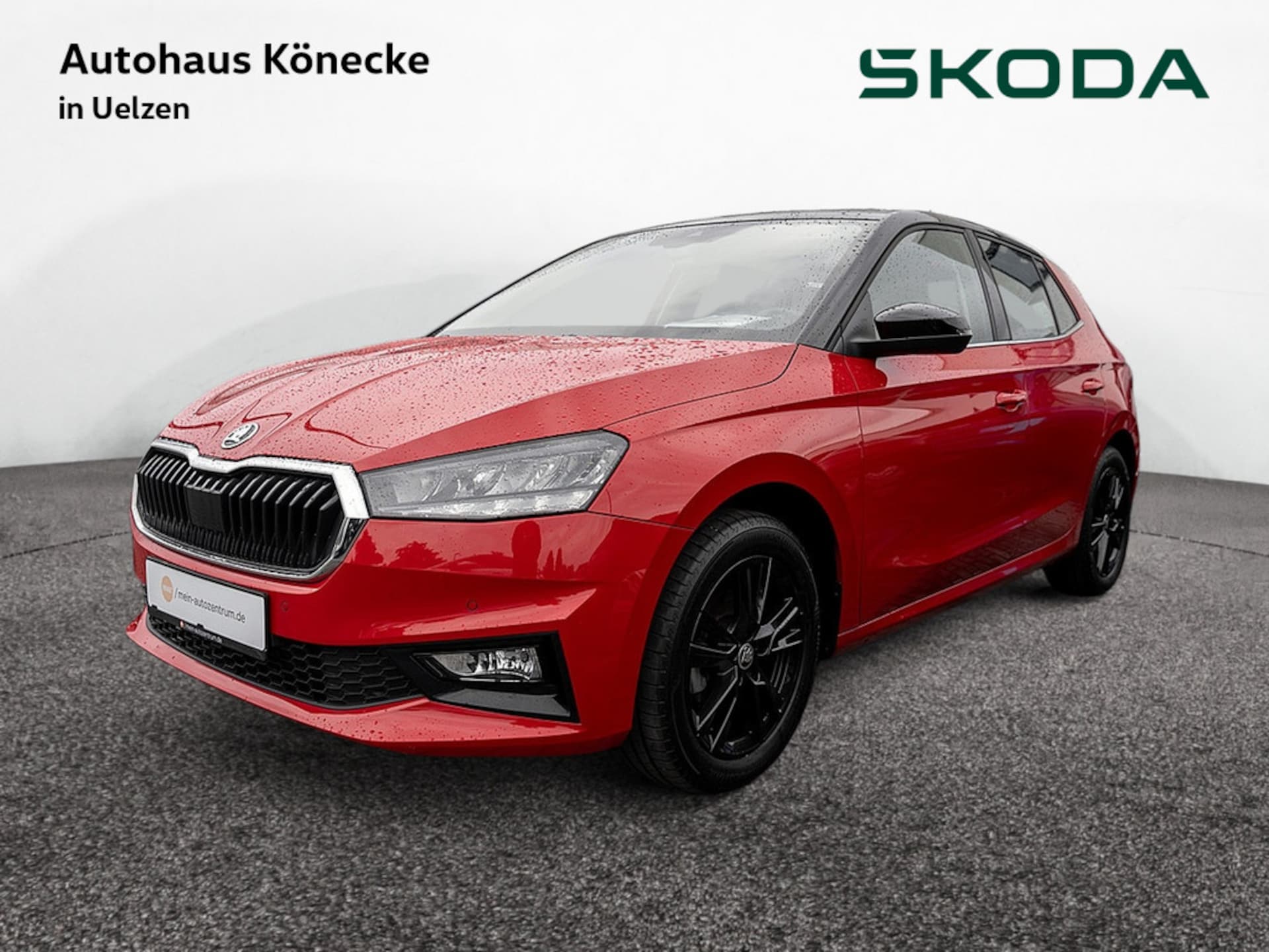 Skoda Fabia Style