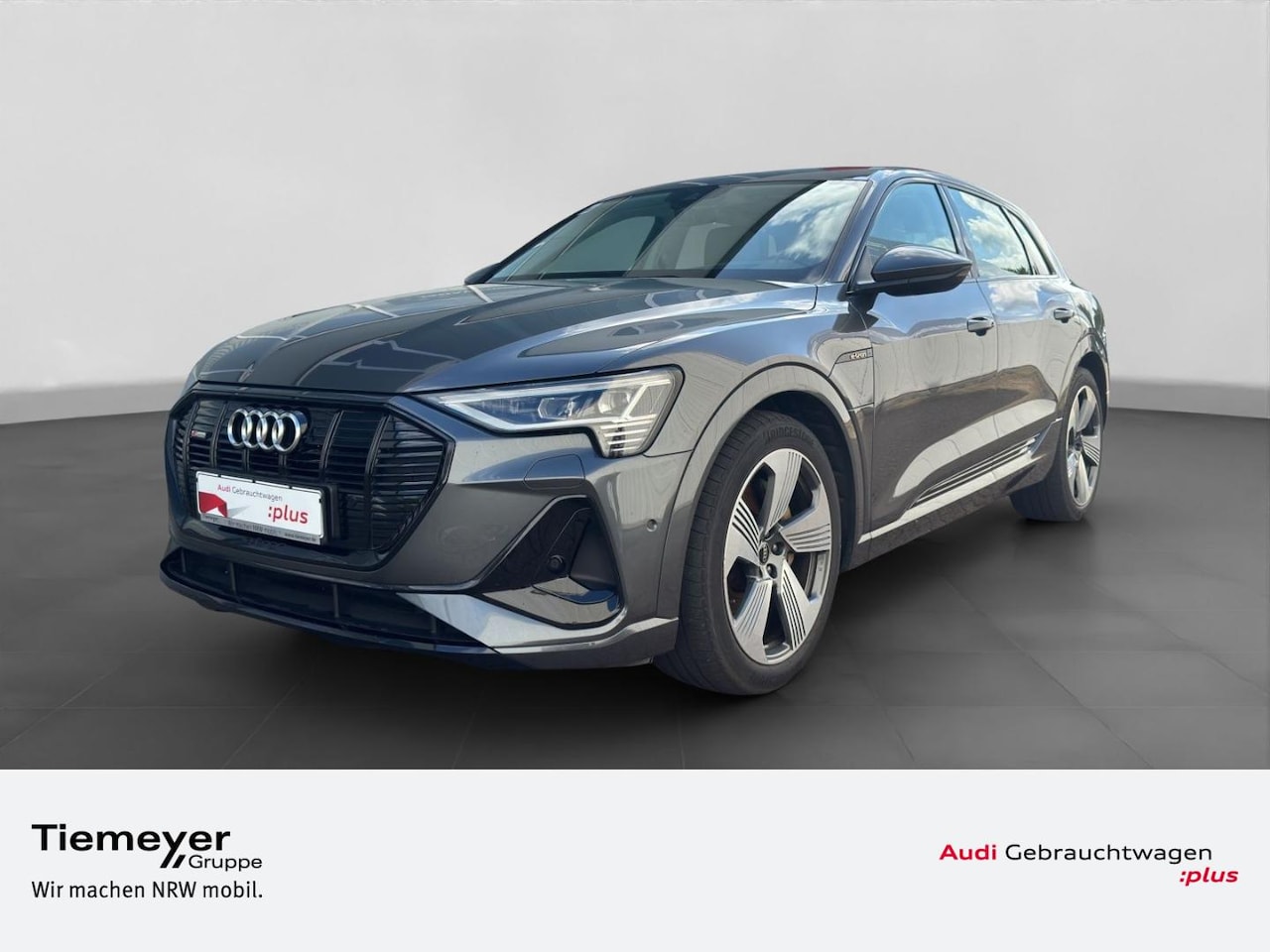 Audi e-tron occasion