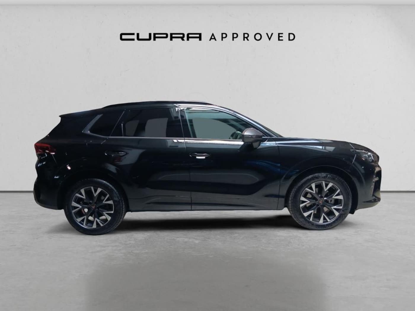 CUPRA Terramar 1.5 eTSI DSG 110 kW (150 CV) — photo 3