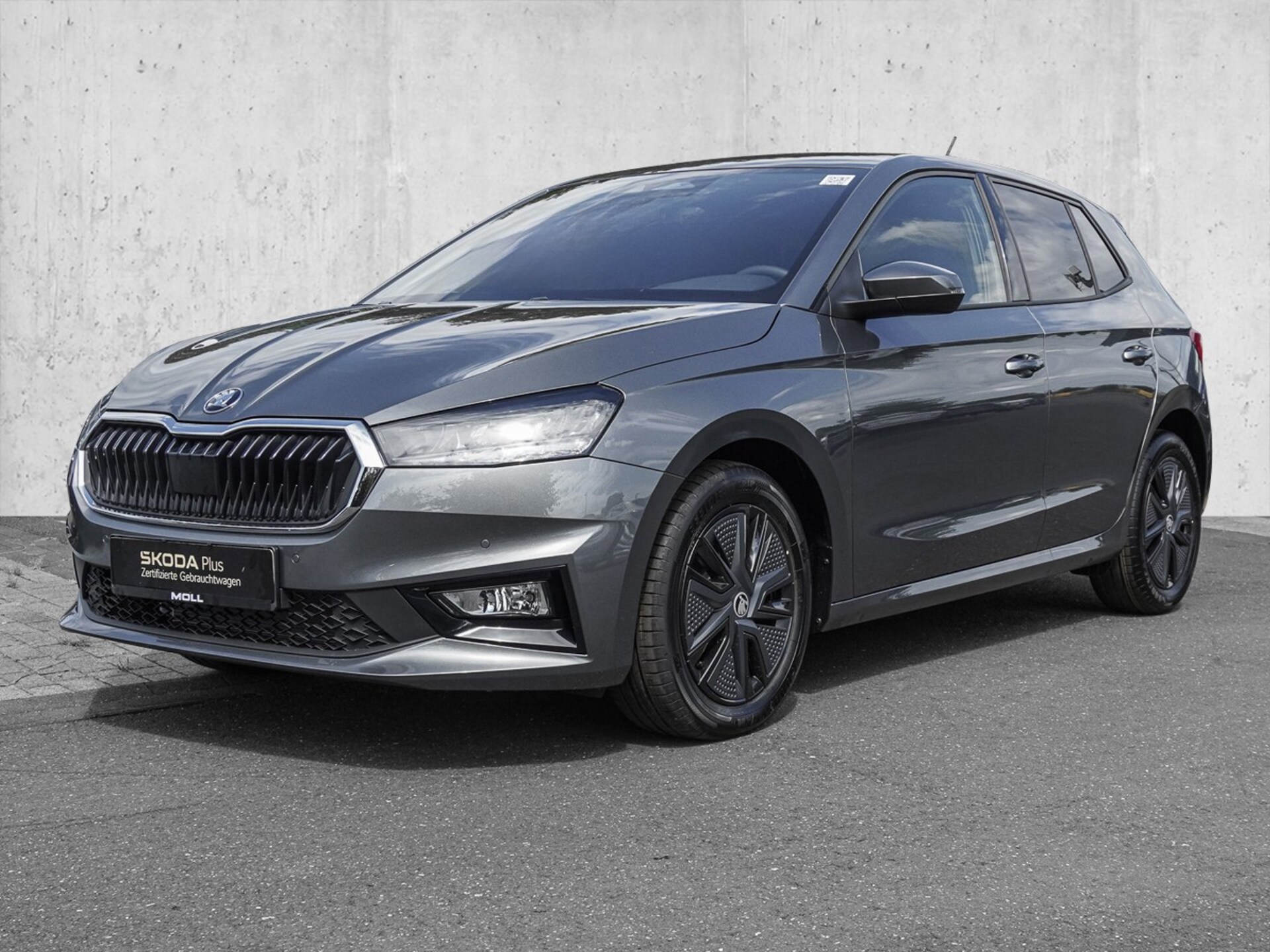 Skoda Fabia Selection