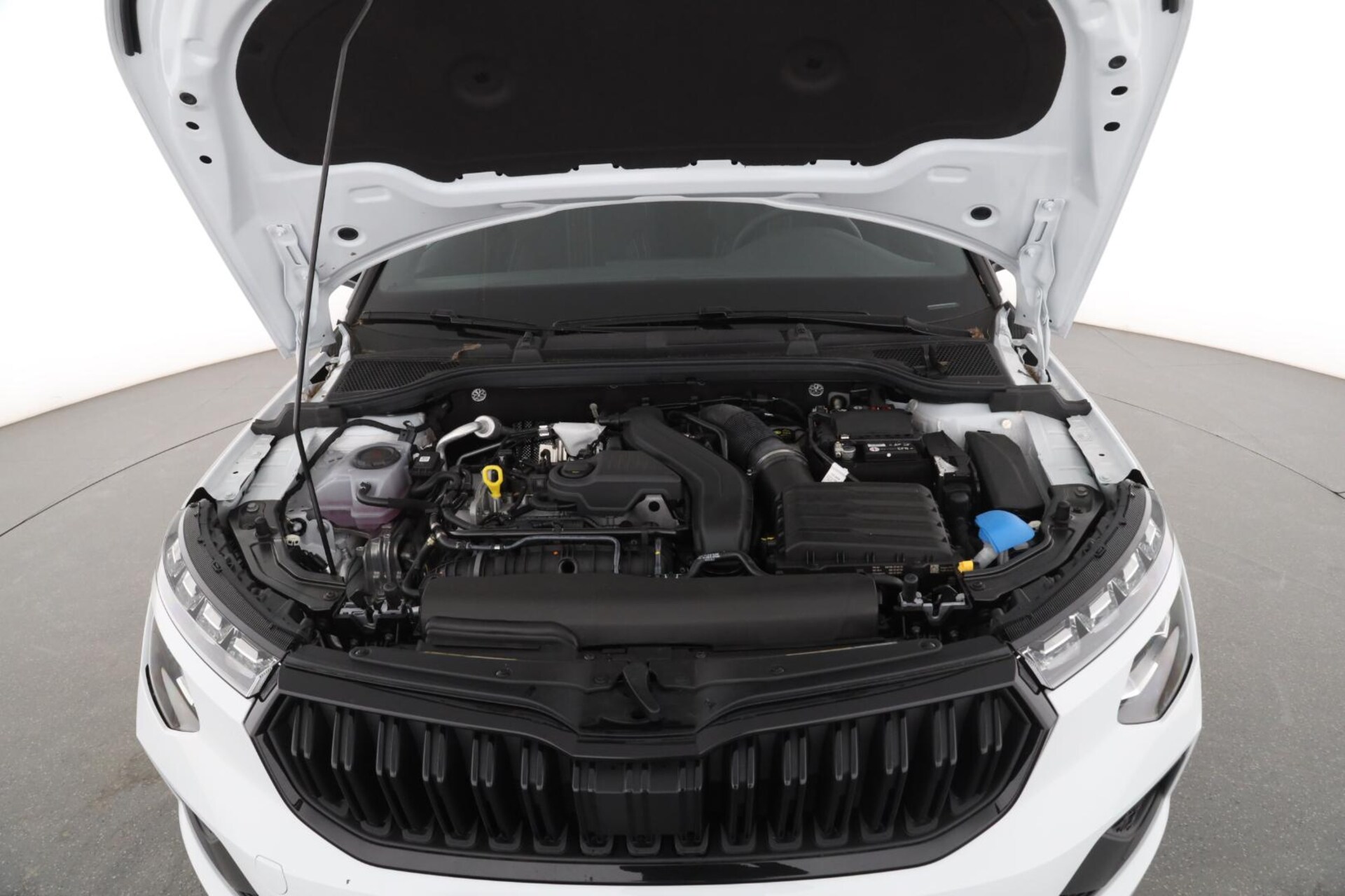 Skoda Kamiq Monte Carlo