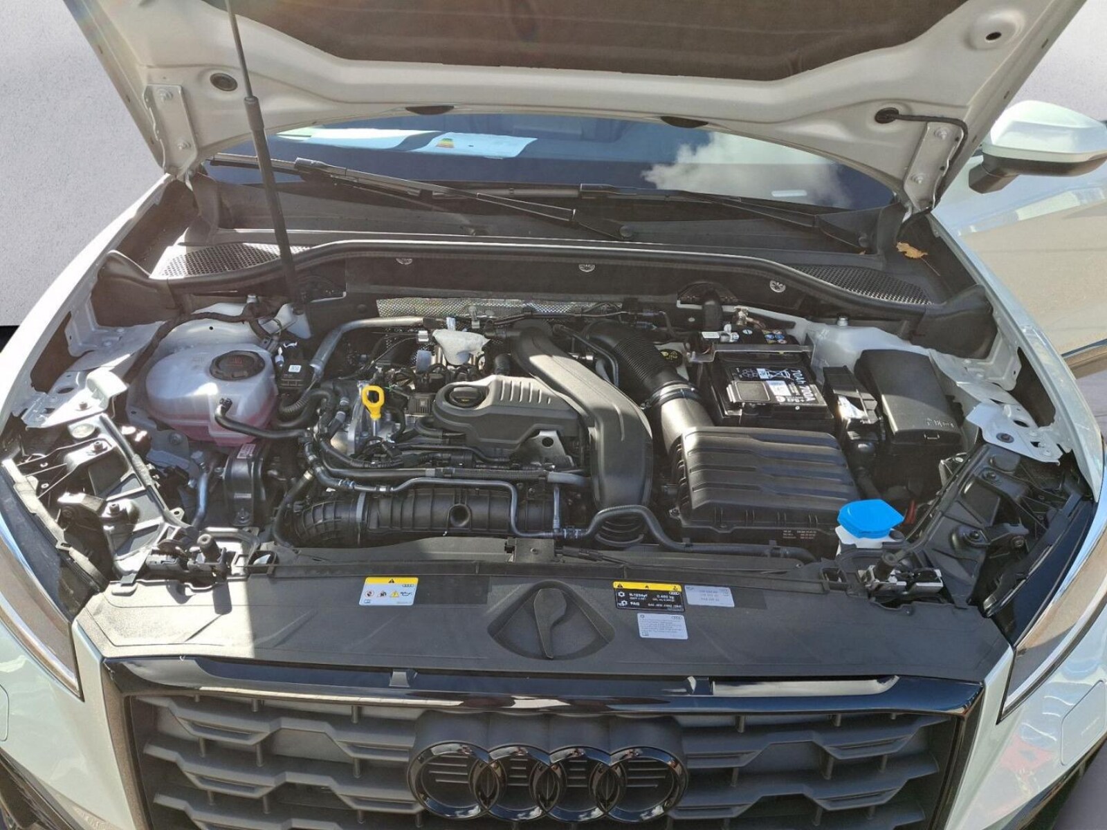 Audi Q2 – Bild 11