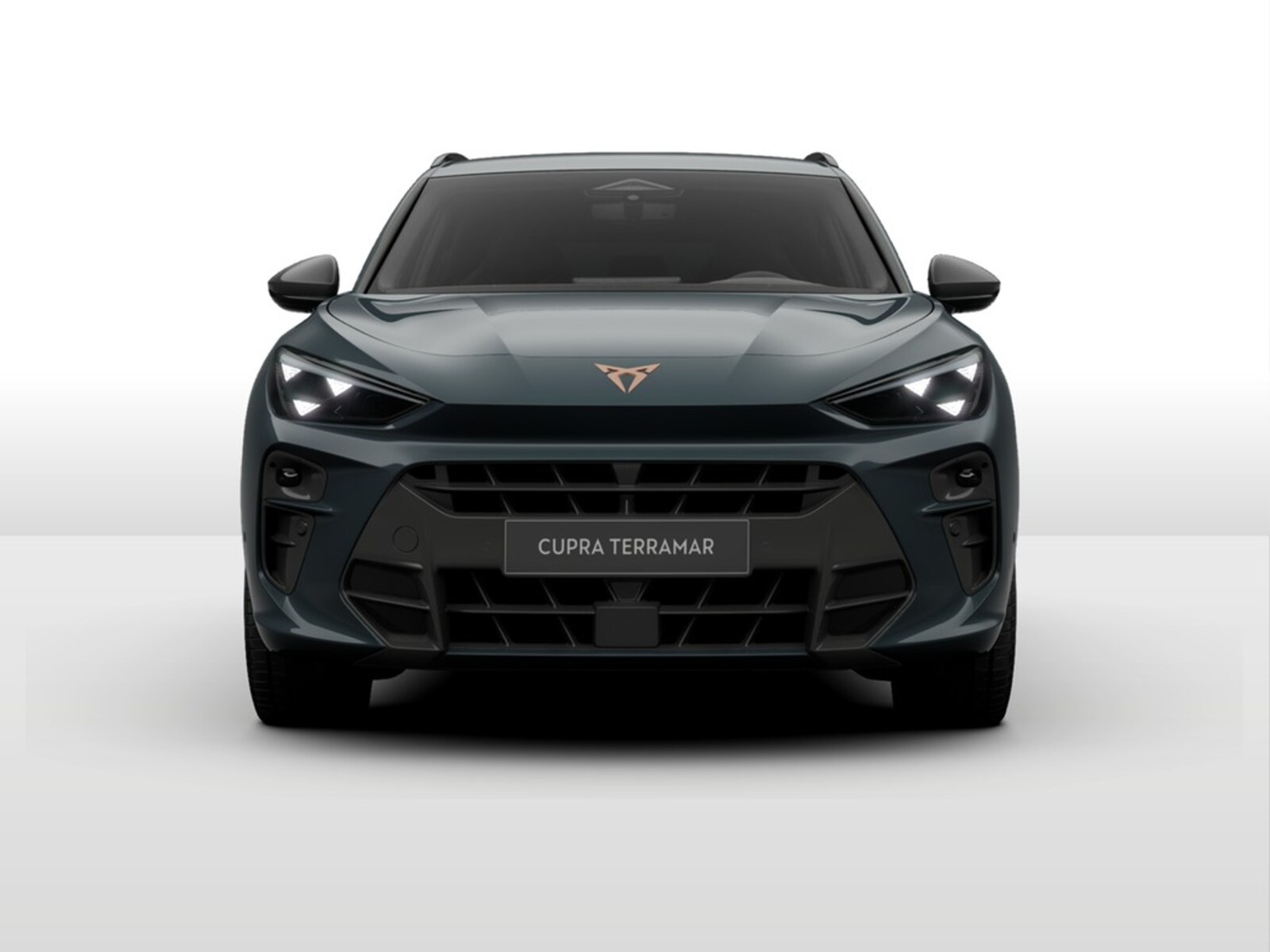 CUPRA Terramar – Bild 2