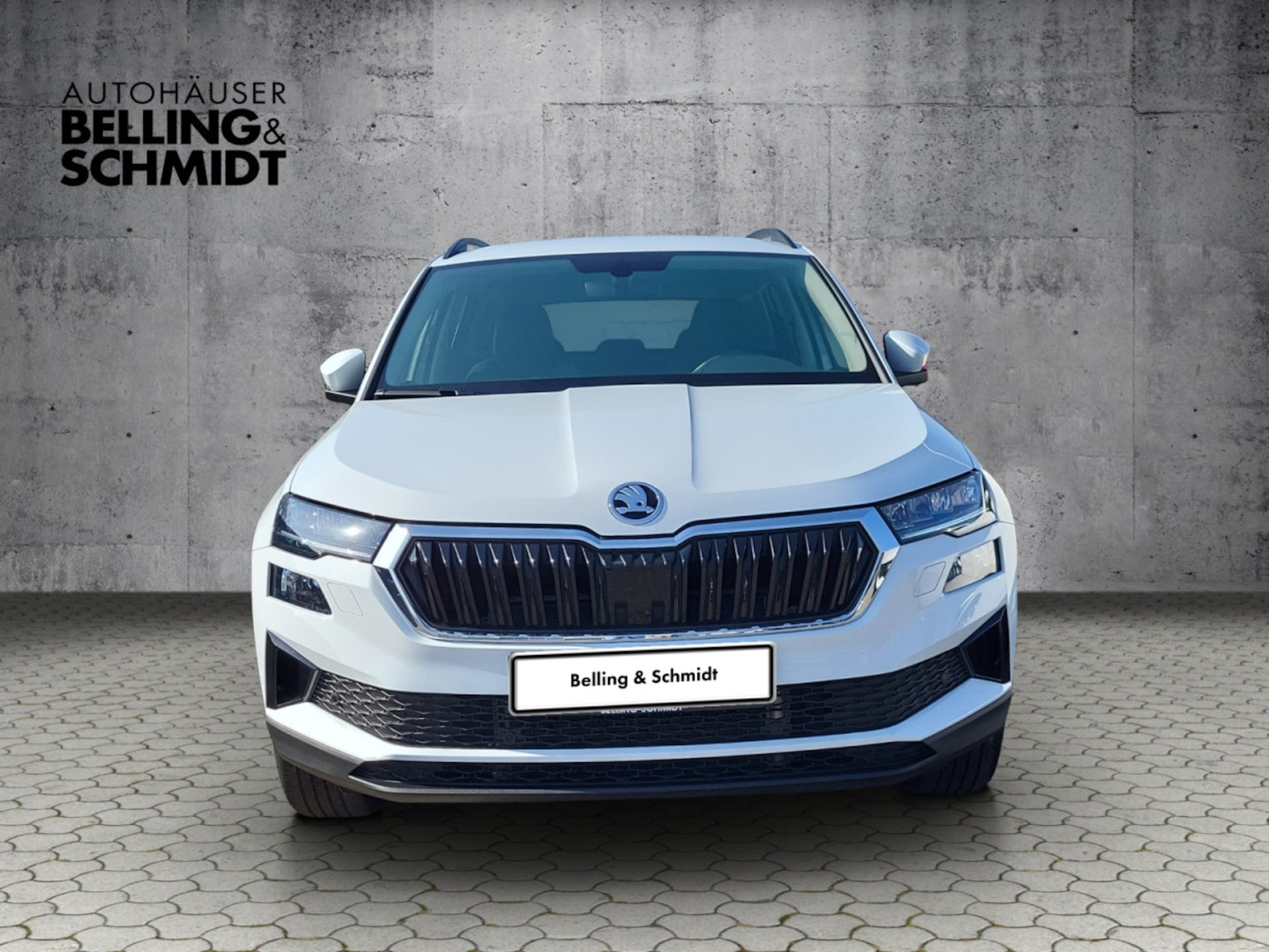 Skoda Karoq Ambition