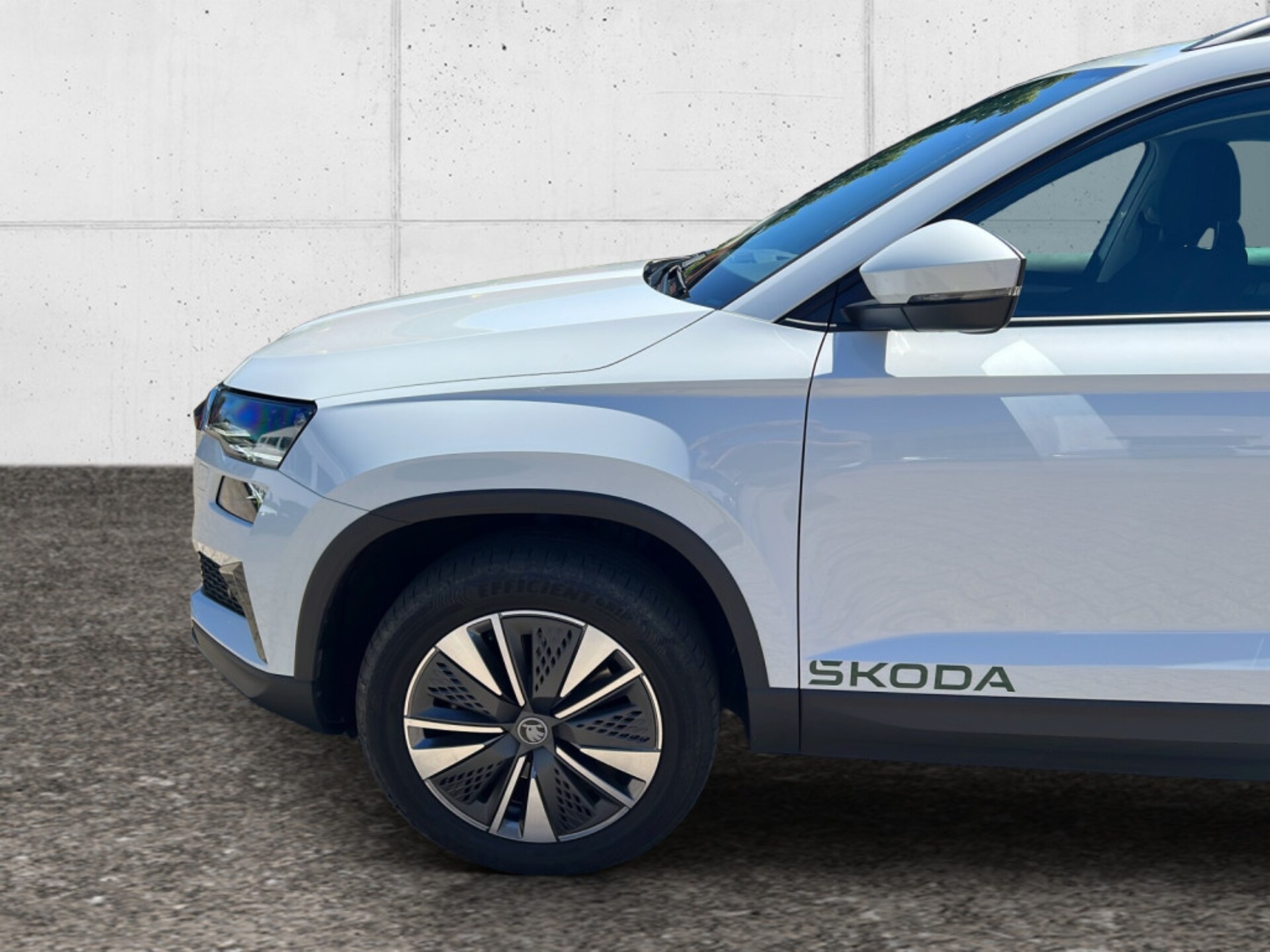 Skoda Karoq Selection