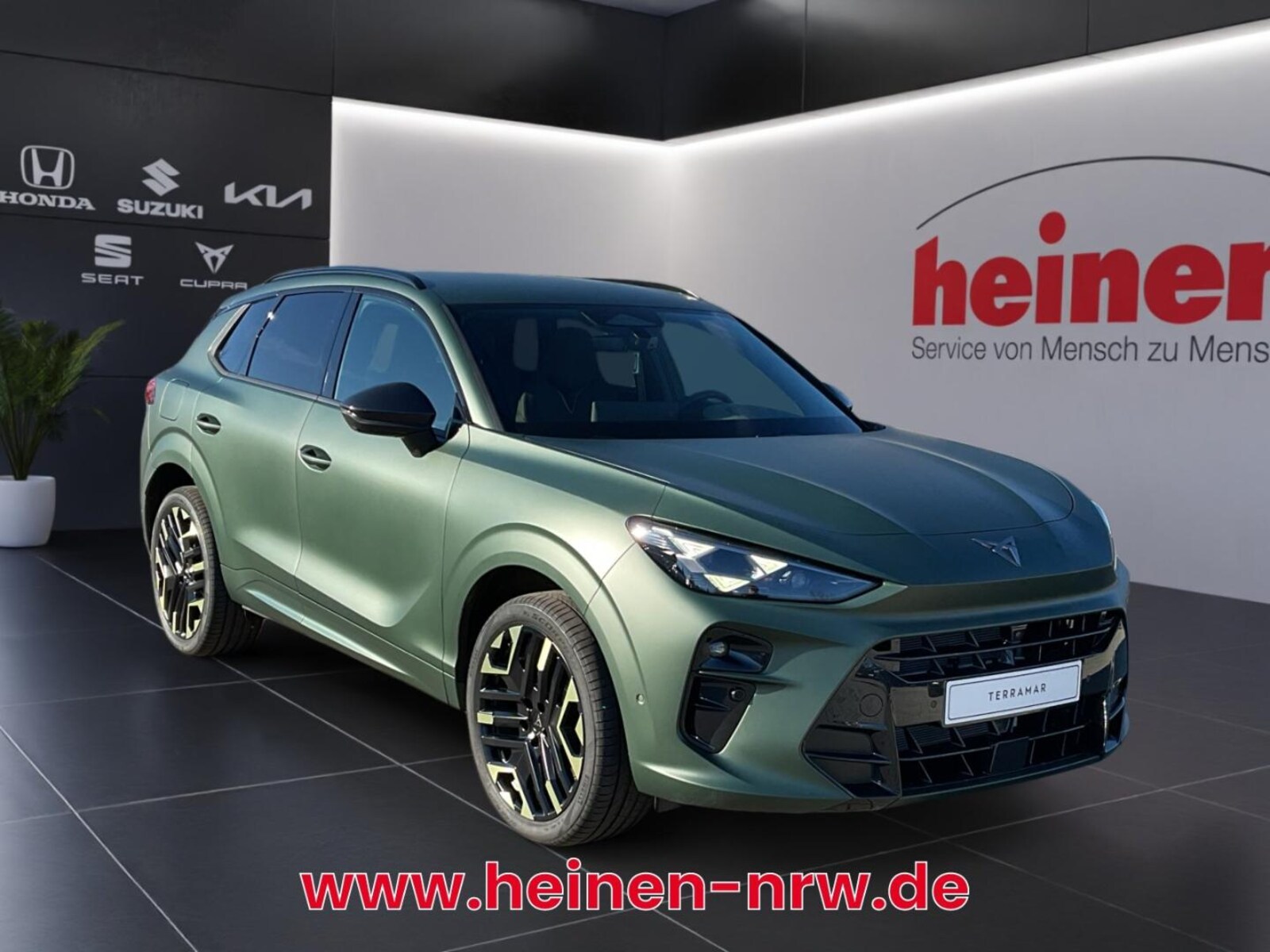 CUPRA Terramar – Bild 2