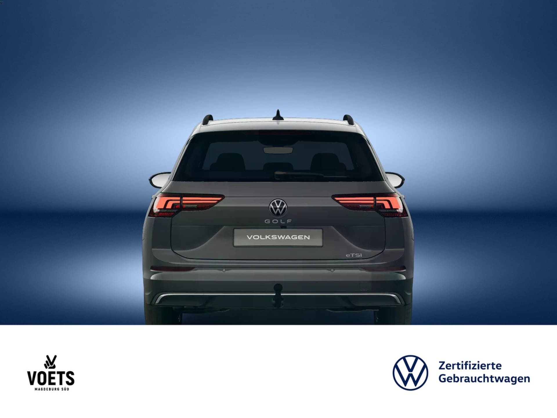 Volkswagen Golf Variant Goal