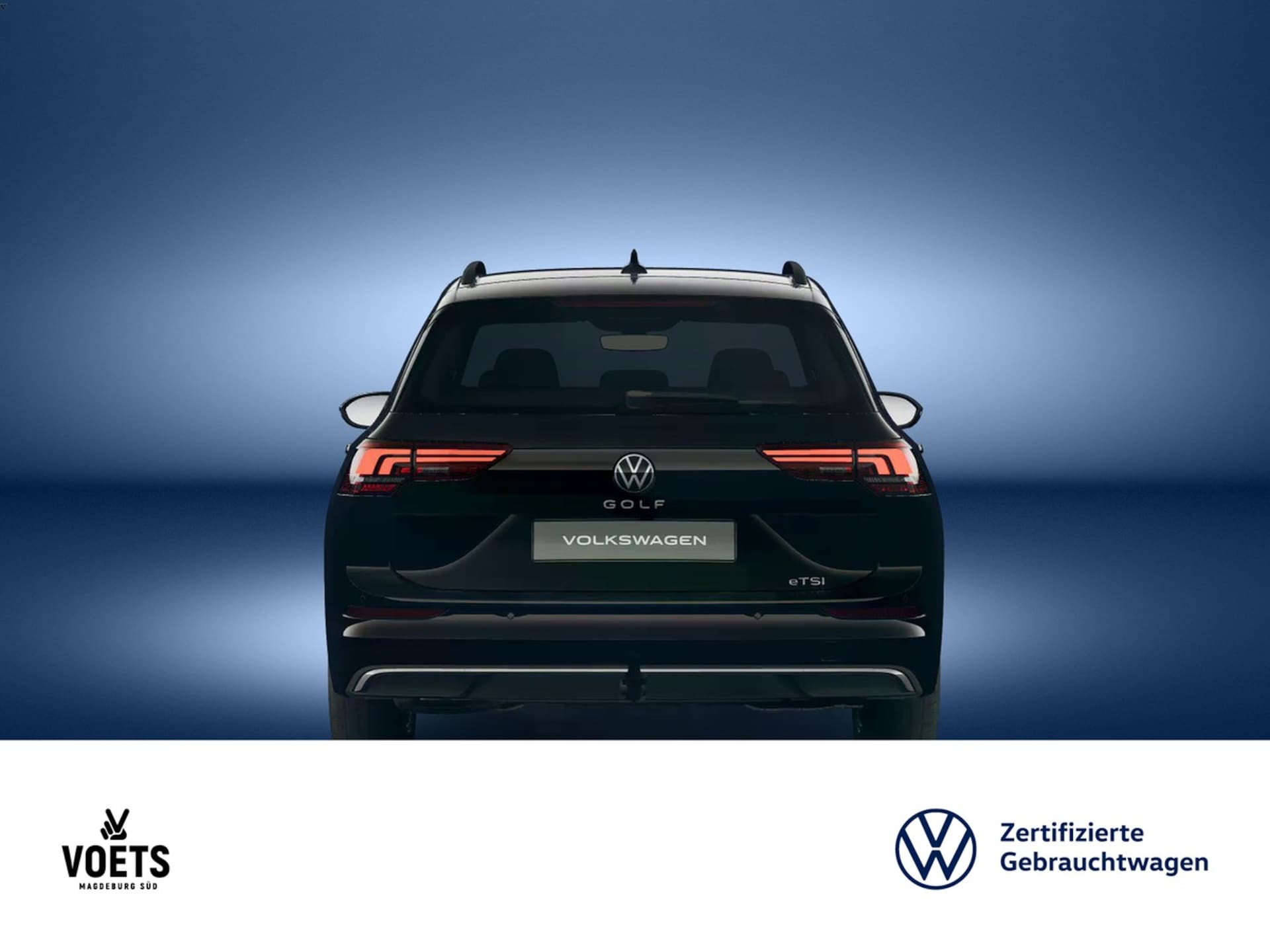 Volkswagen Golf Variant Goal