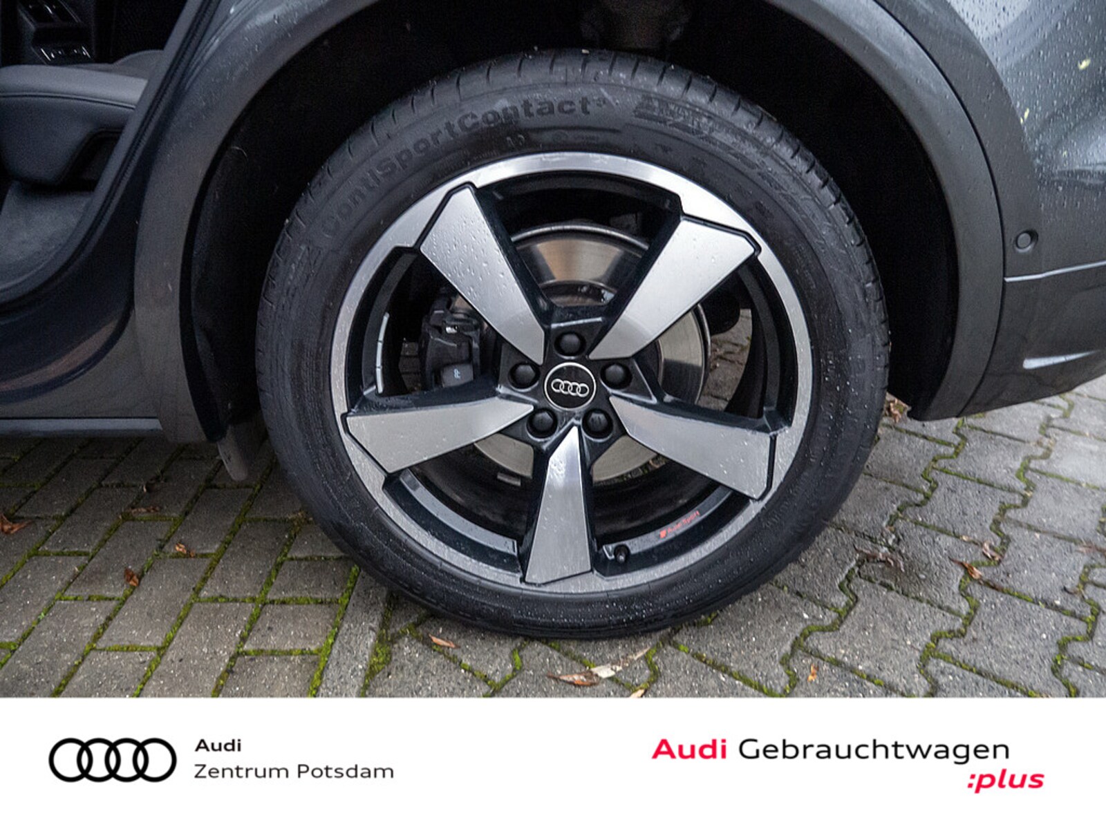 Audi SQ5 – Bild 6