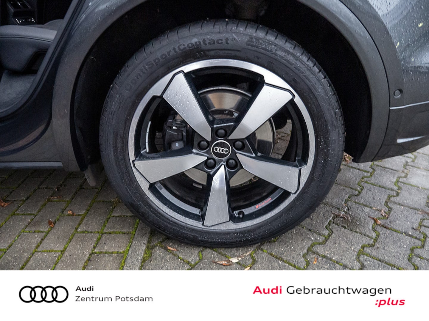 Bild über Audi SQ5 TDI tiptronic - für weitere Informationen kontaktieren Sie den Audi Partner