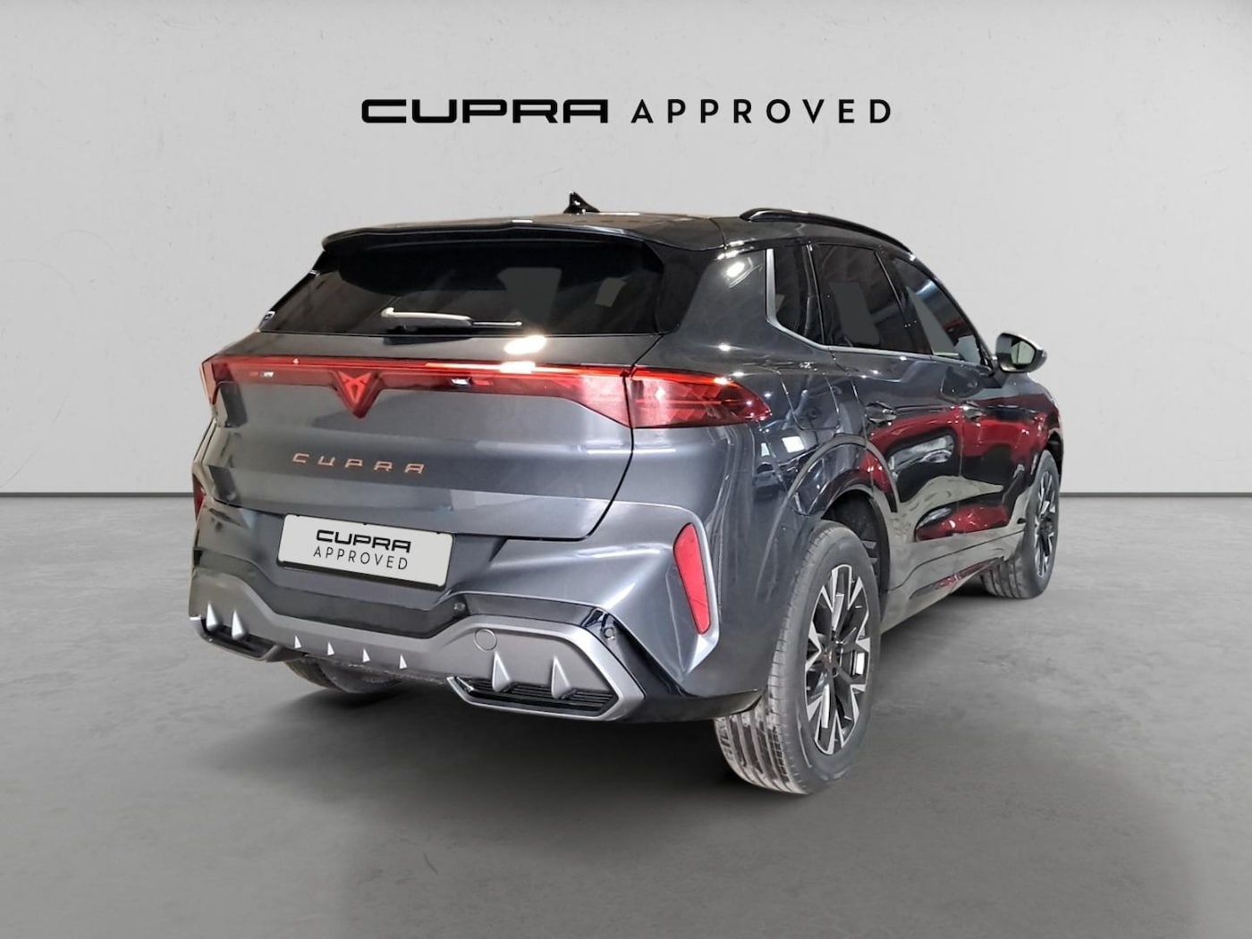 CUPRA Terramar 1.5 eTSI DSG 110 kW (150 CV) — photo 14