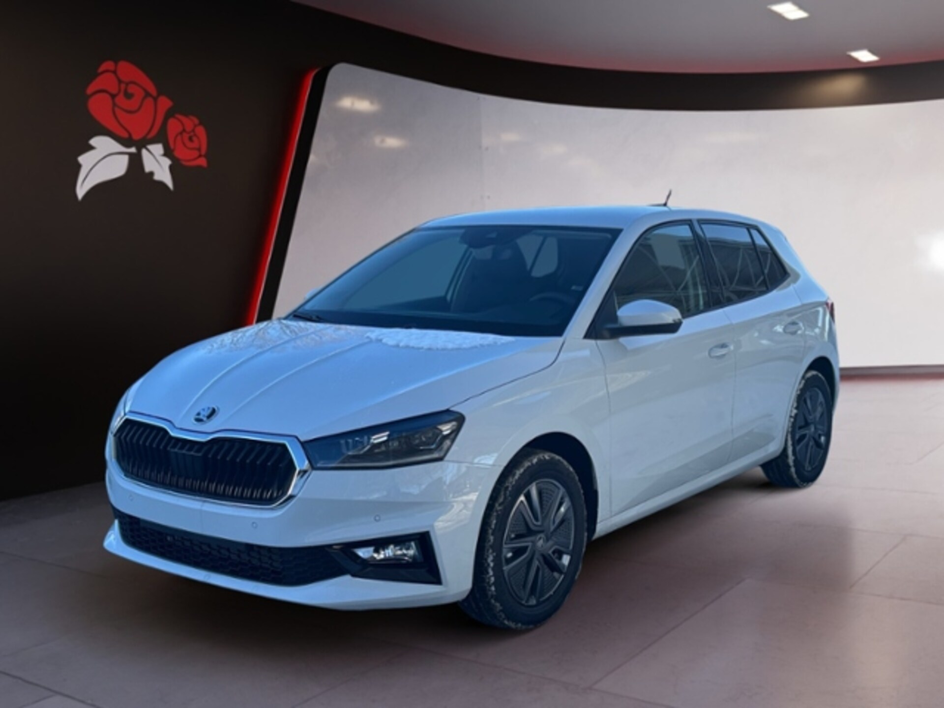 Skoda Fabia Selection