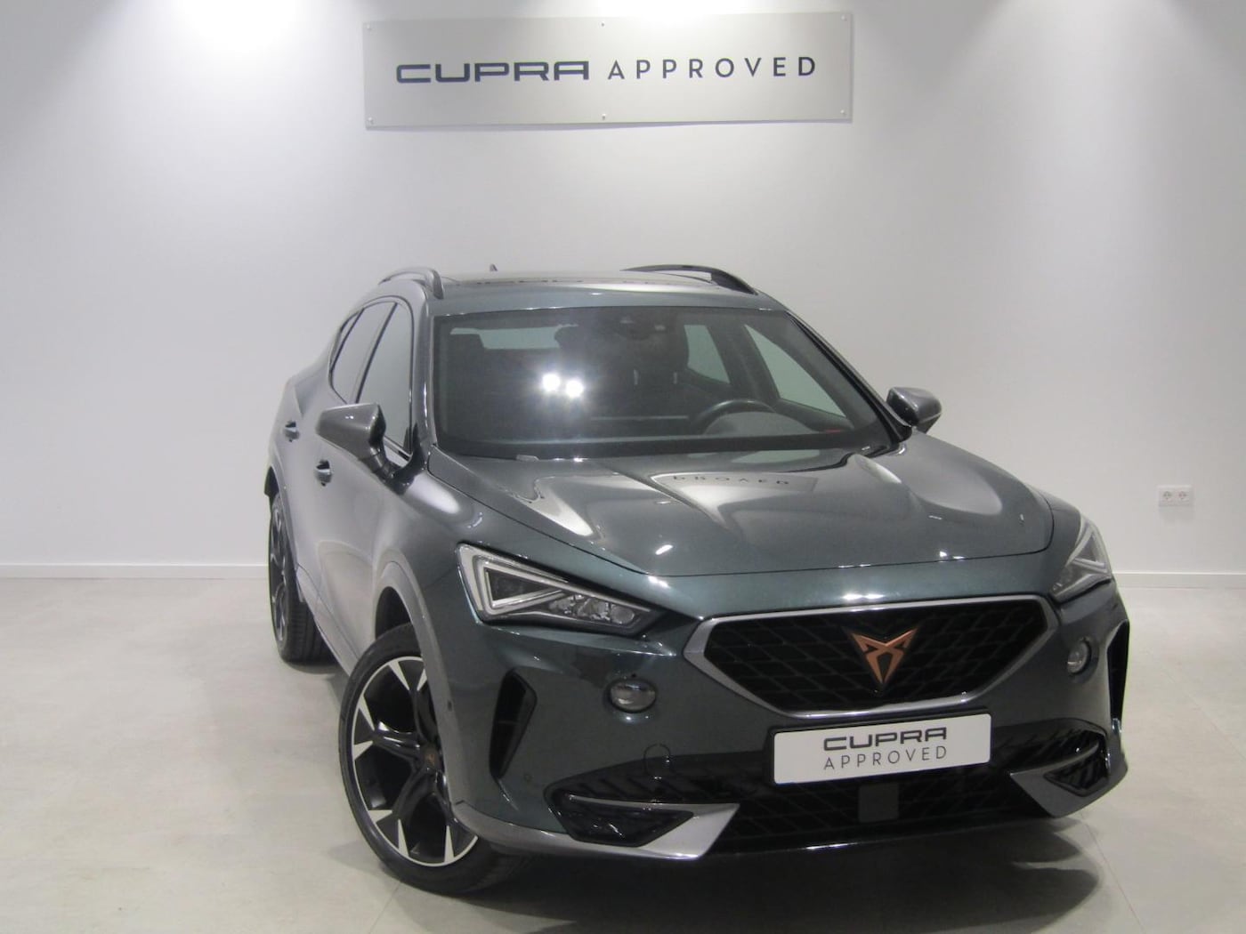 CUPRA Formentor 2.0 TDI 4Drive DSG 110 kW (150 CV) — photo 2
