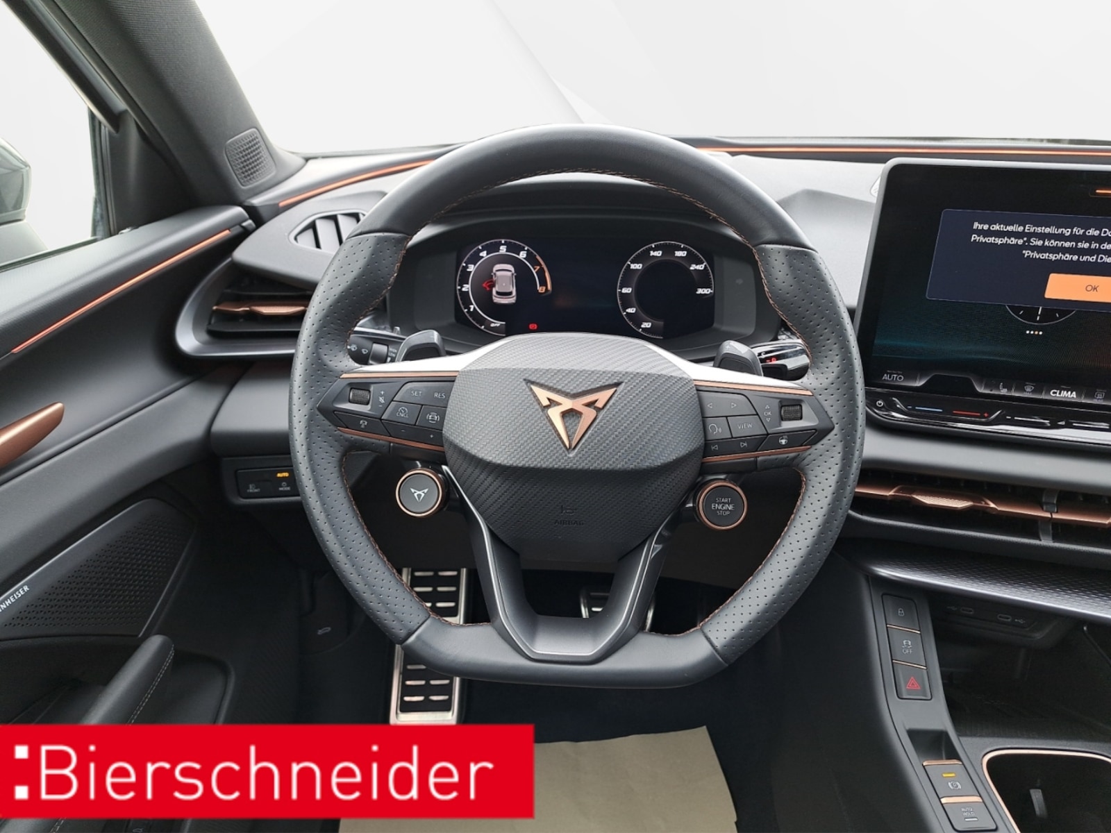 CUPRA Terramar – Bild 13