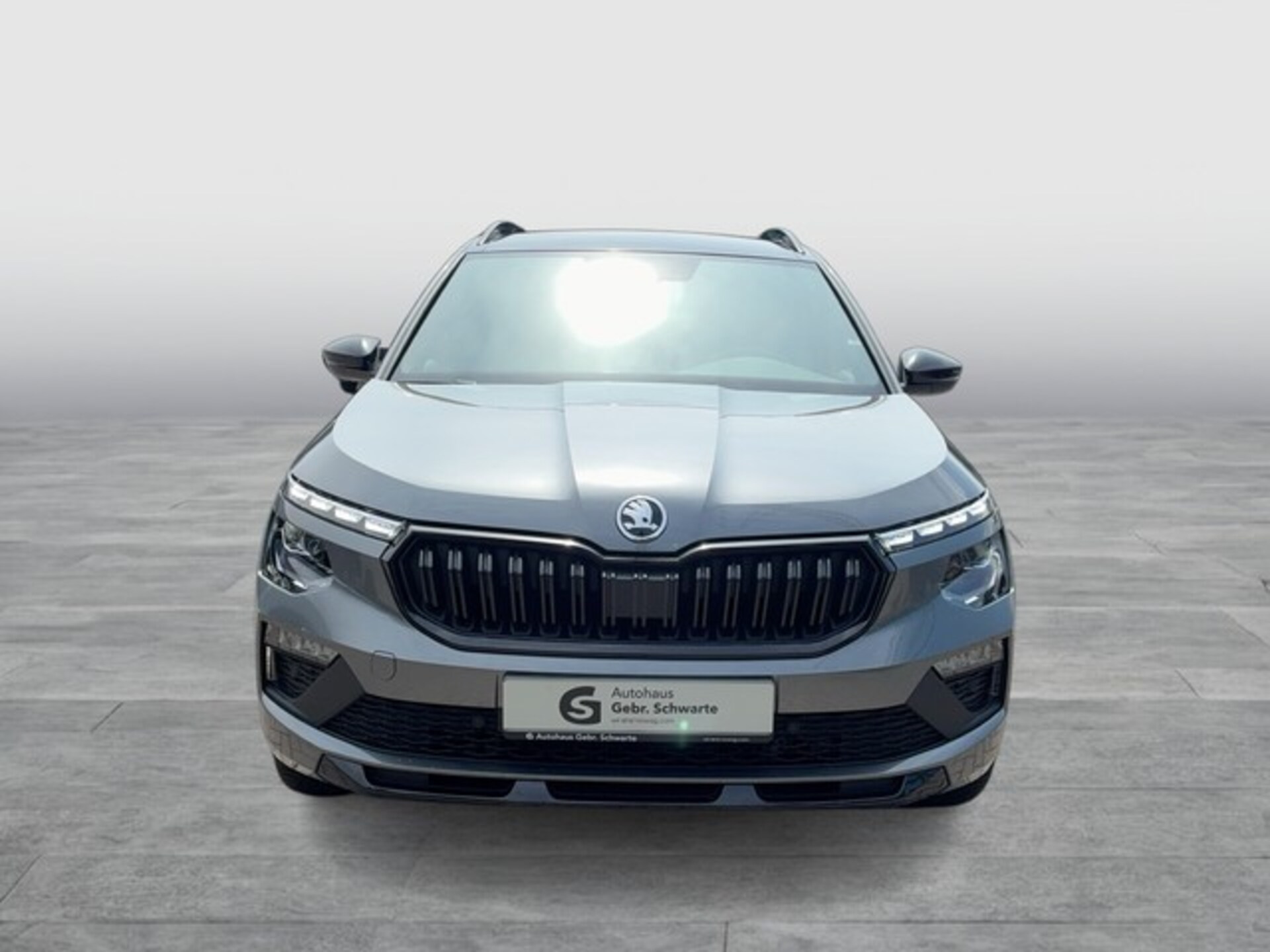 Skoda Kamiq Monte Carlo