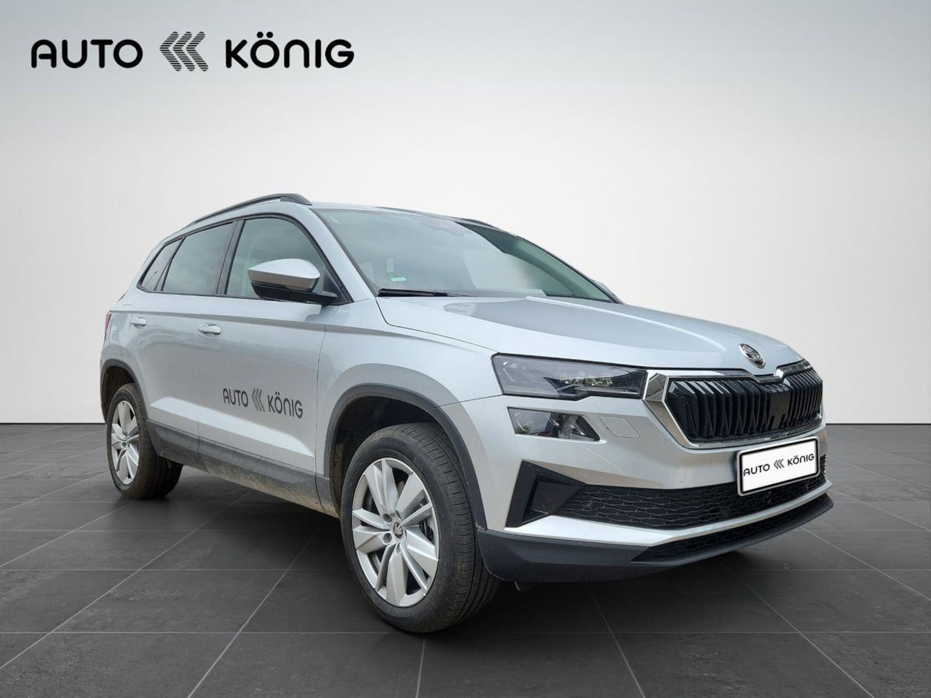 Skoda Karoq Selection