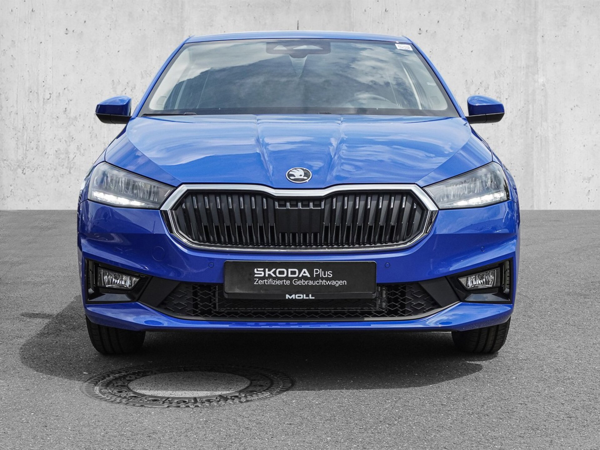 Skoda Fabia Selection