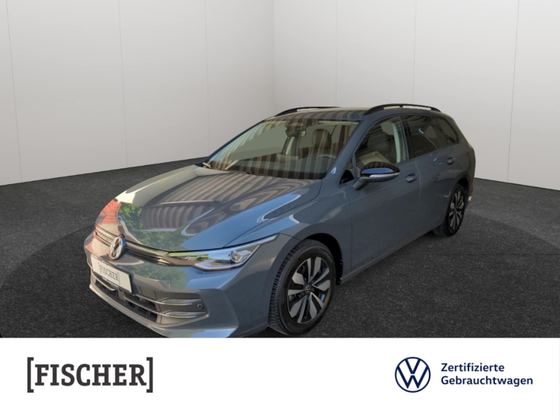 Volkswagen Golf Variant Goal