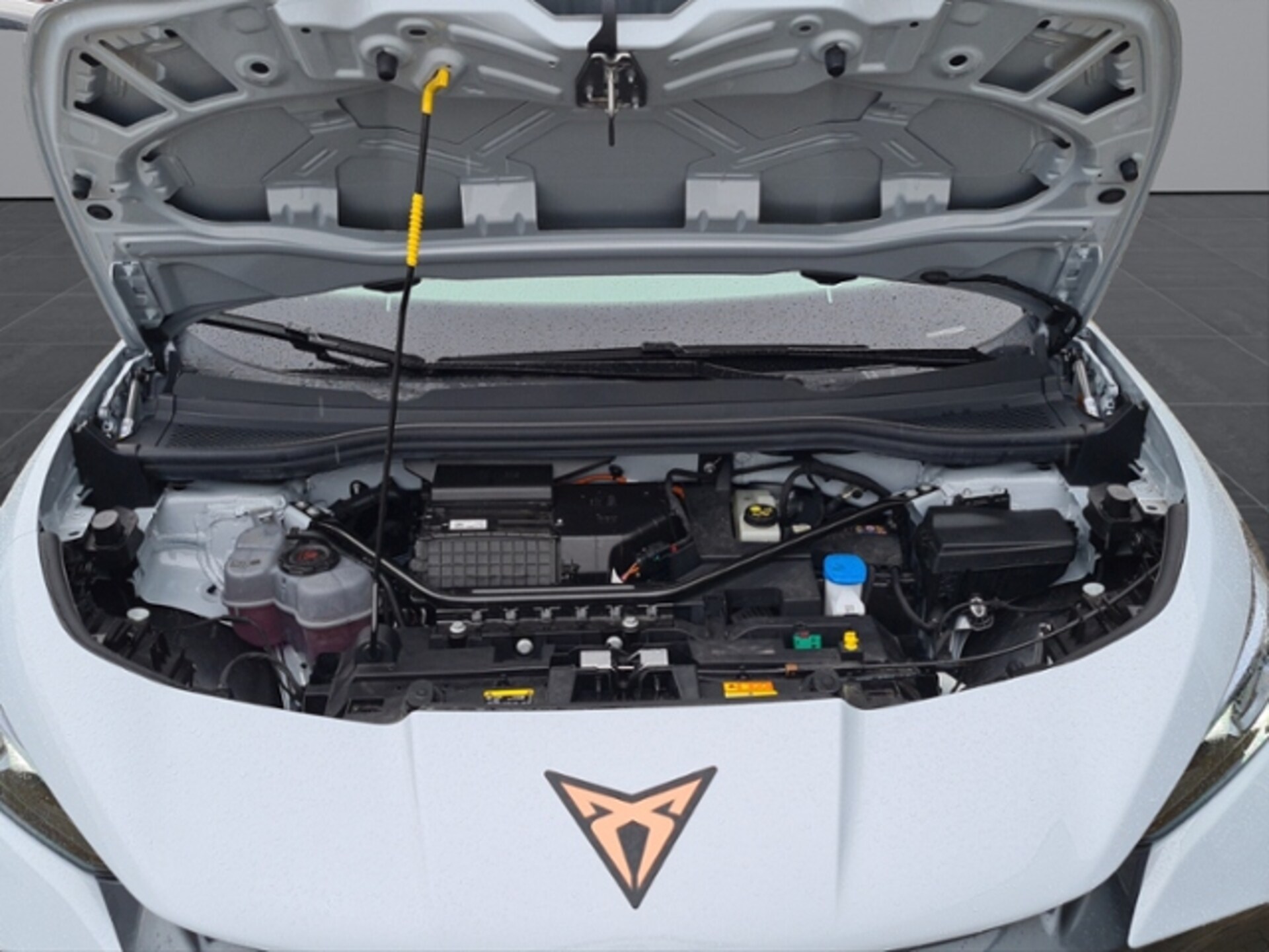 CUPRA Tavascan Endurance