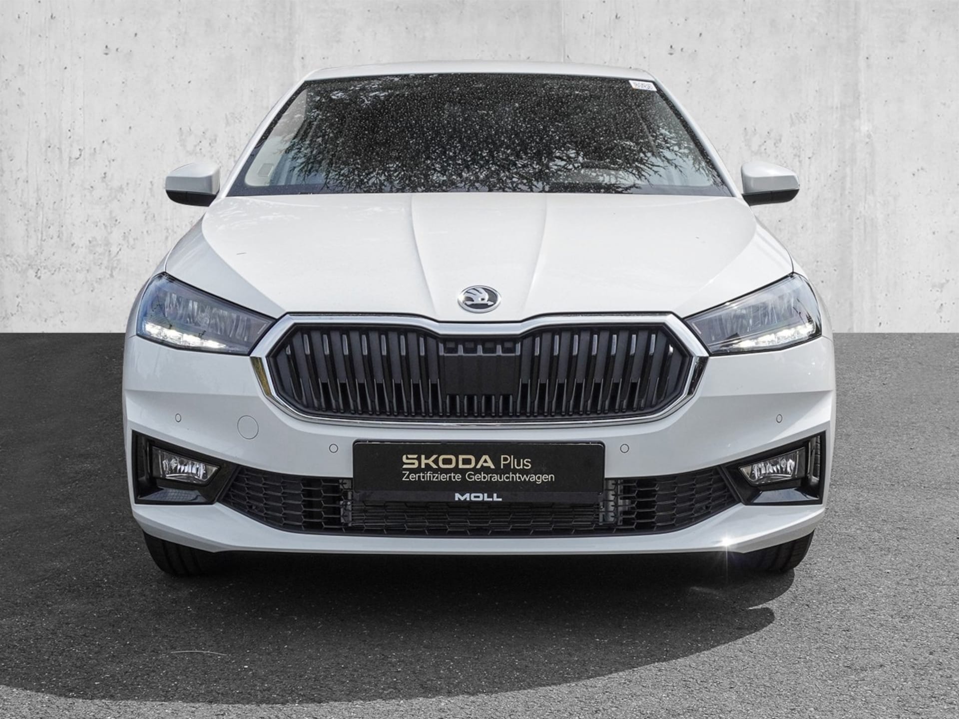Skoda Fabia Selection