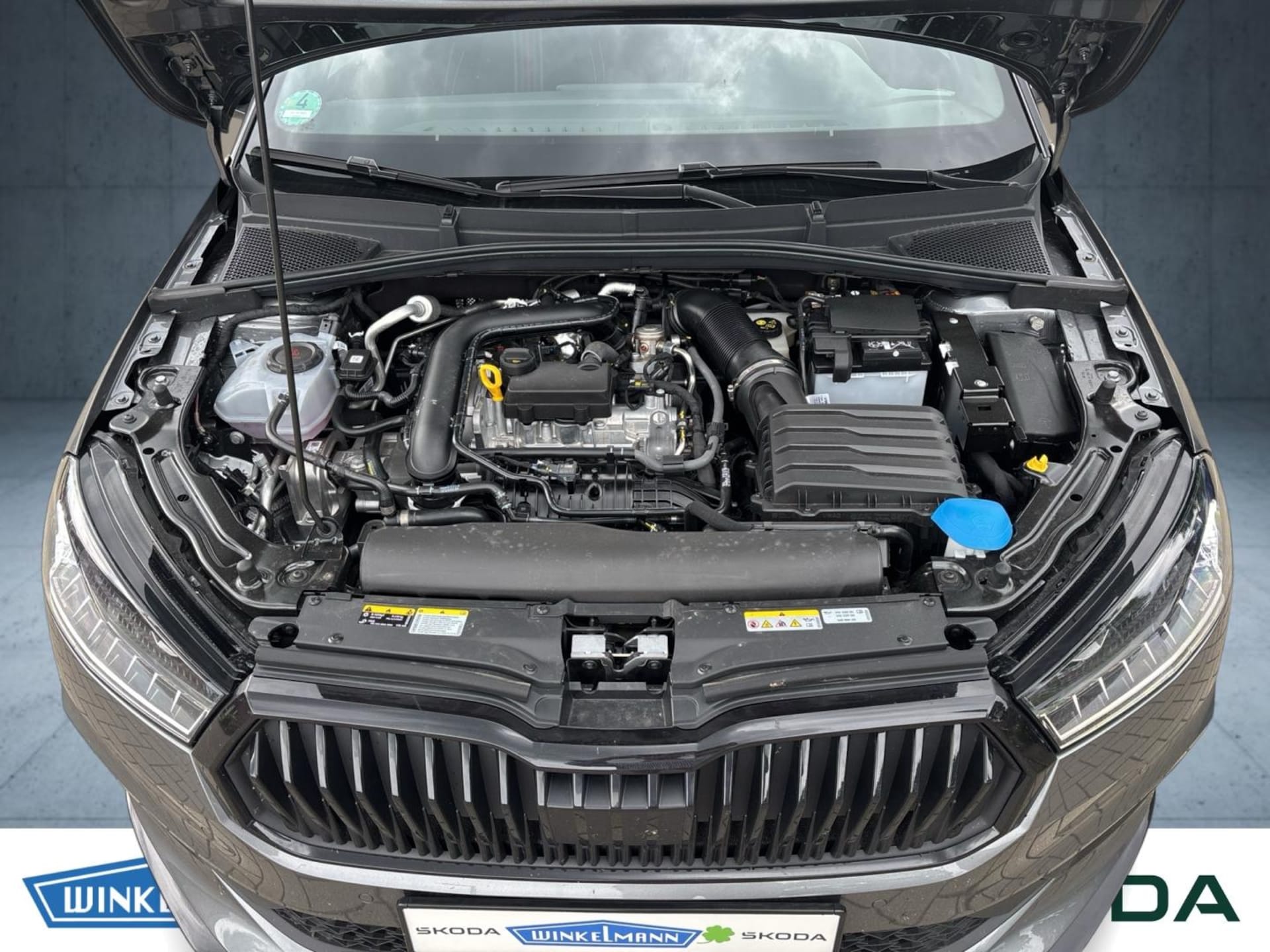 Skoda Fabia Monte Carlo