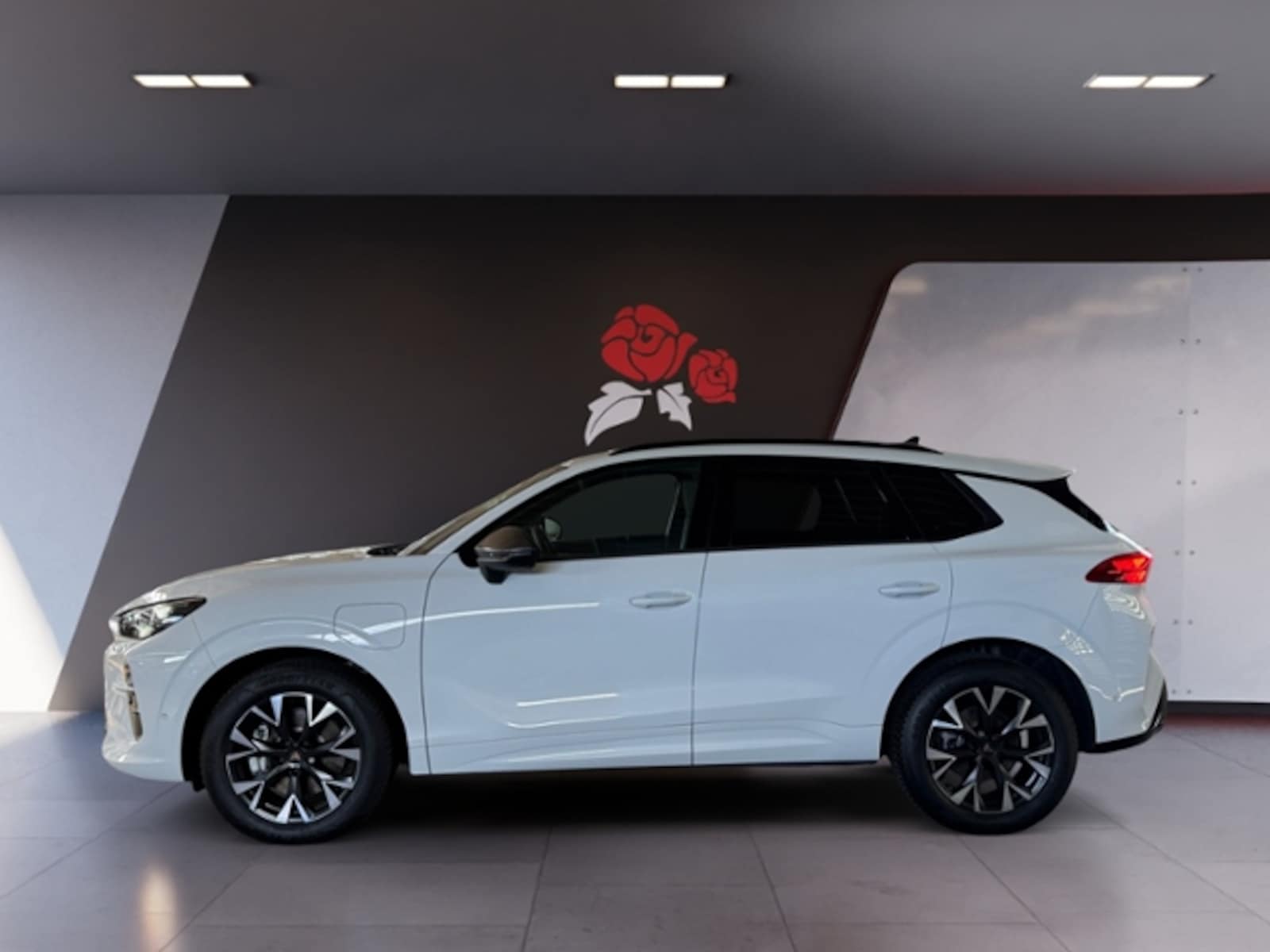 CUPRA Terramar – Bild 3