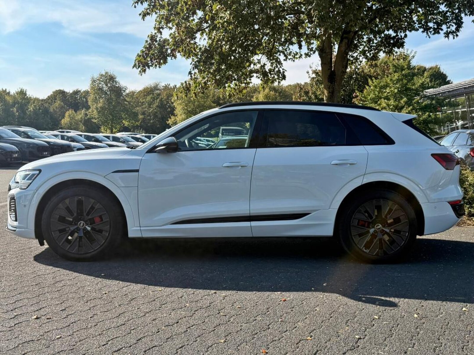 Audi Q8 e-tron – Bild 5