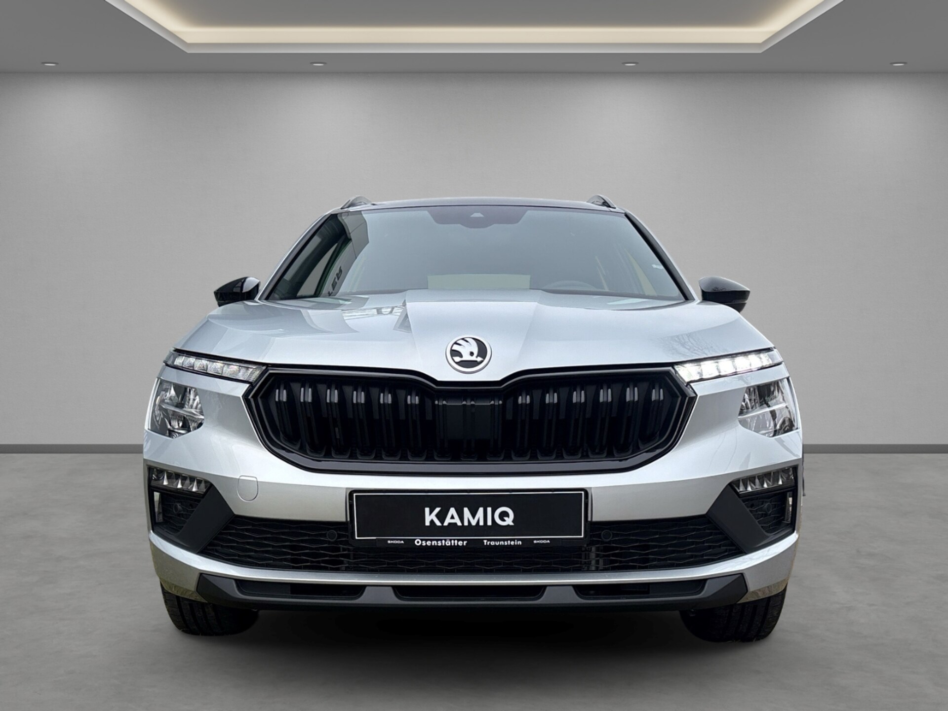 Skoda Kamiq Selection