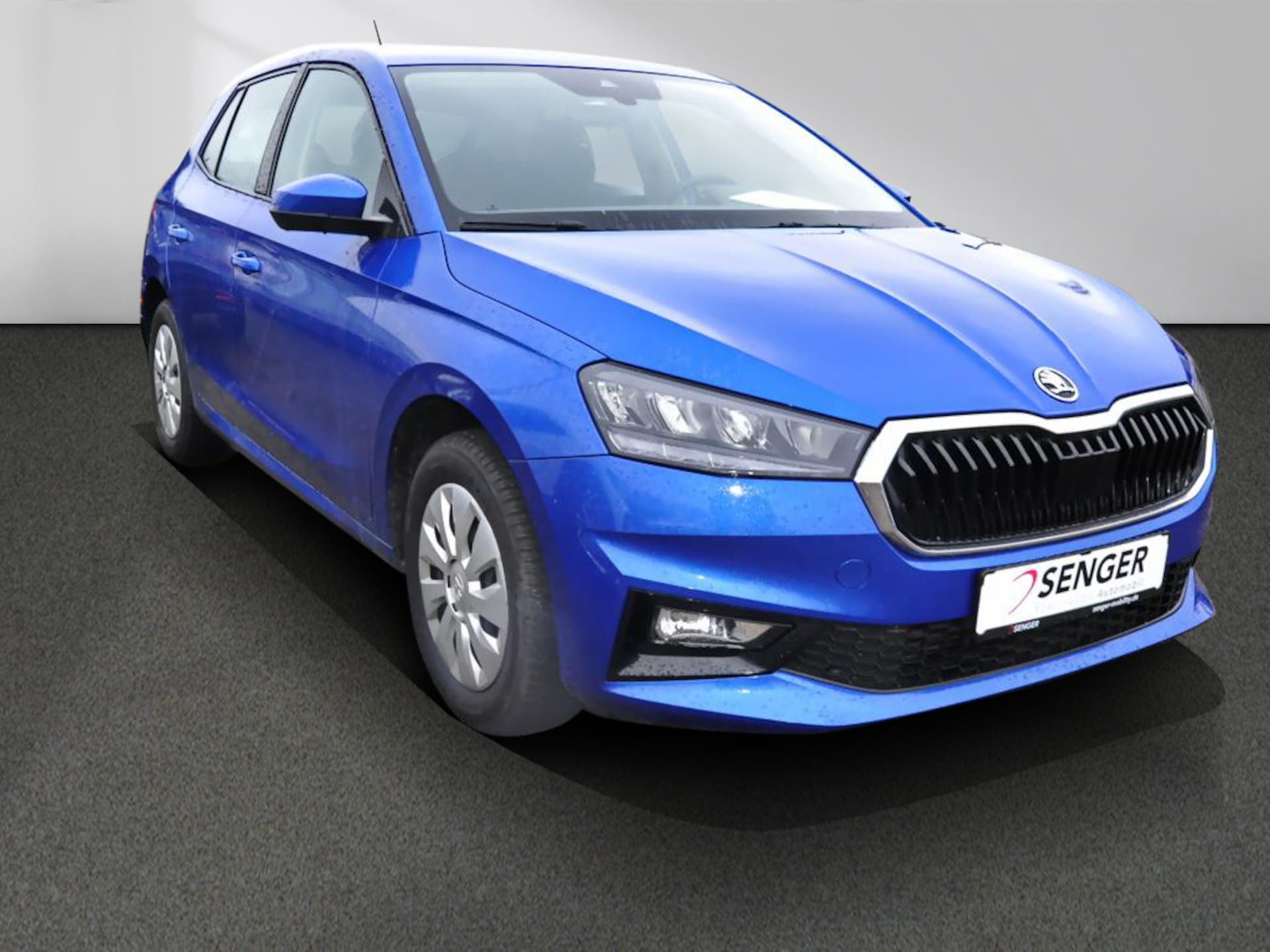 Skoda Fabia Selection