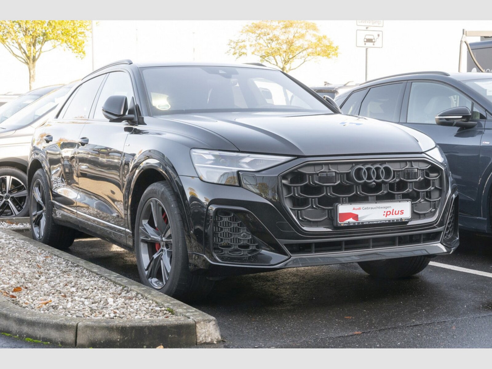 Audi Q8 – Bild 2