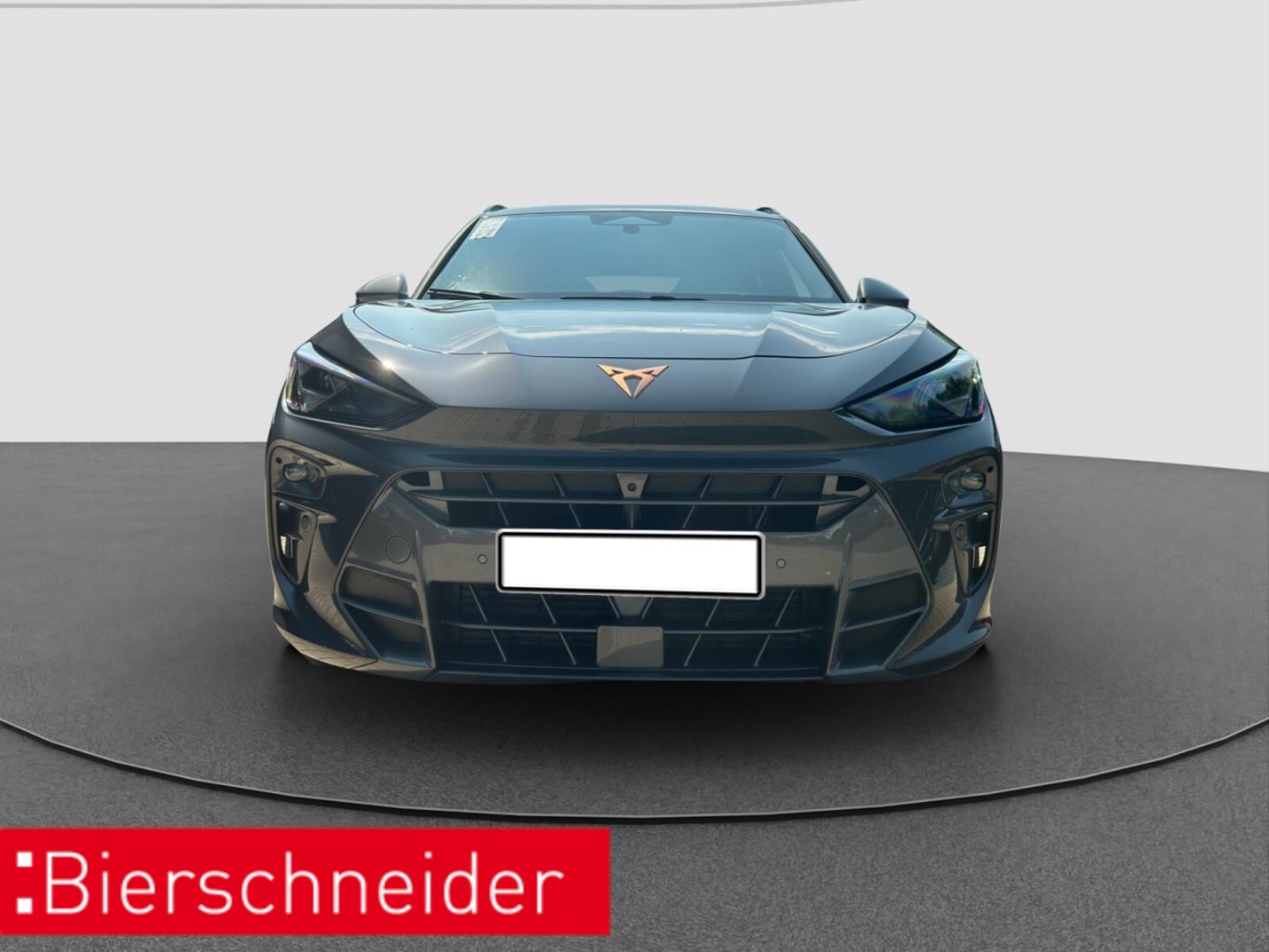 CUPRA Terramar – Bild 2