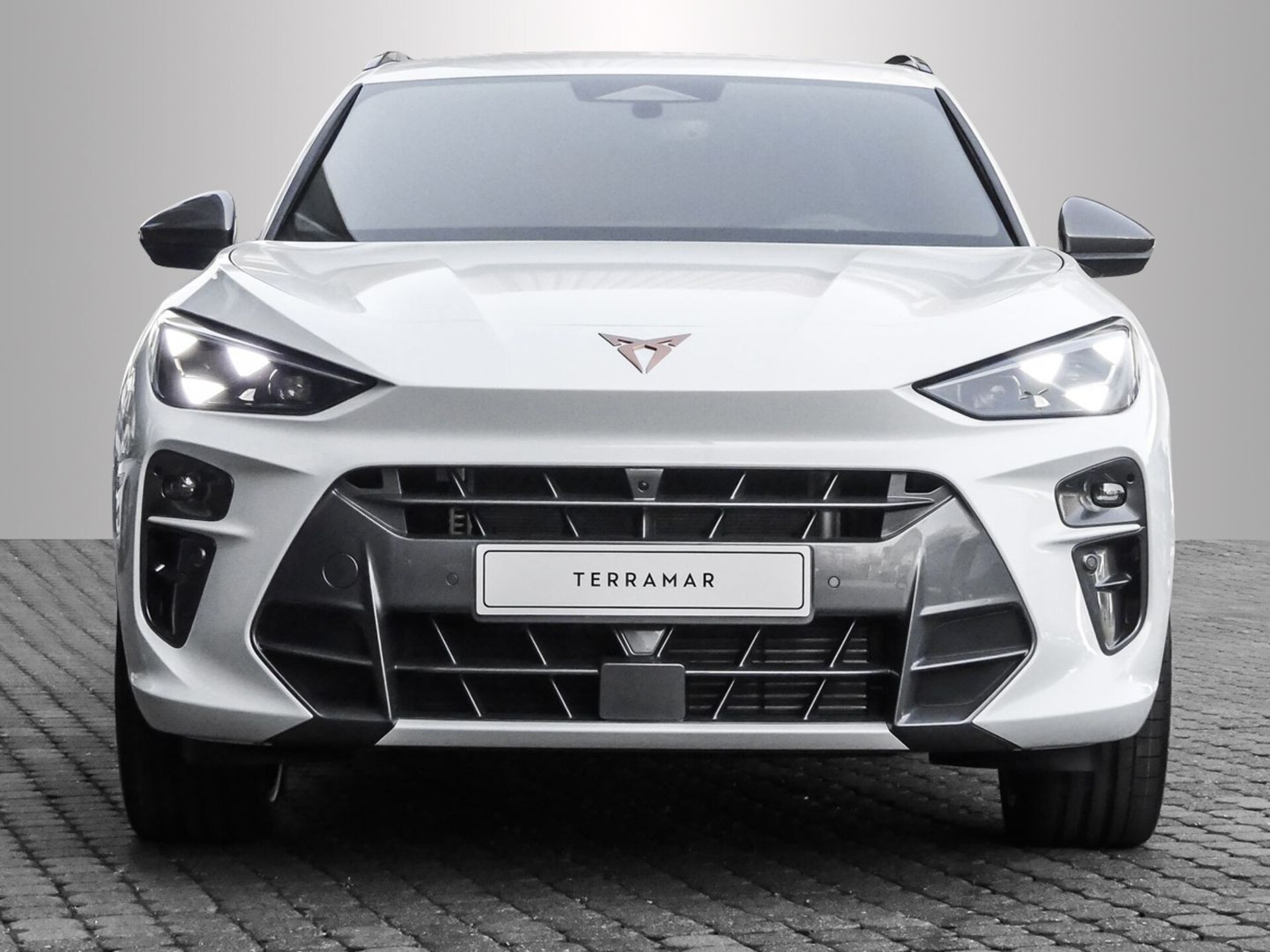 CUPRA Terramar VZ