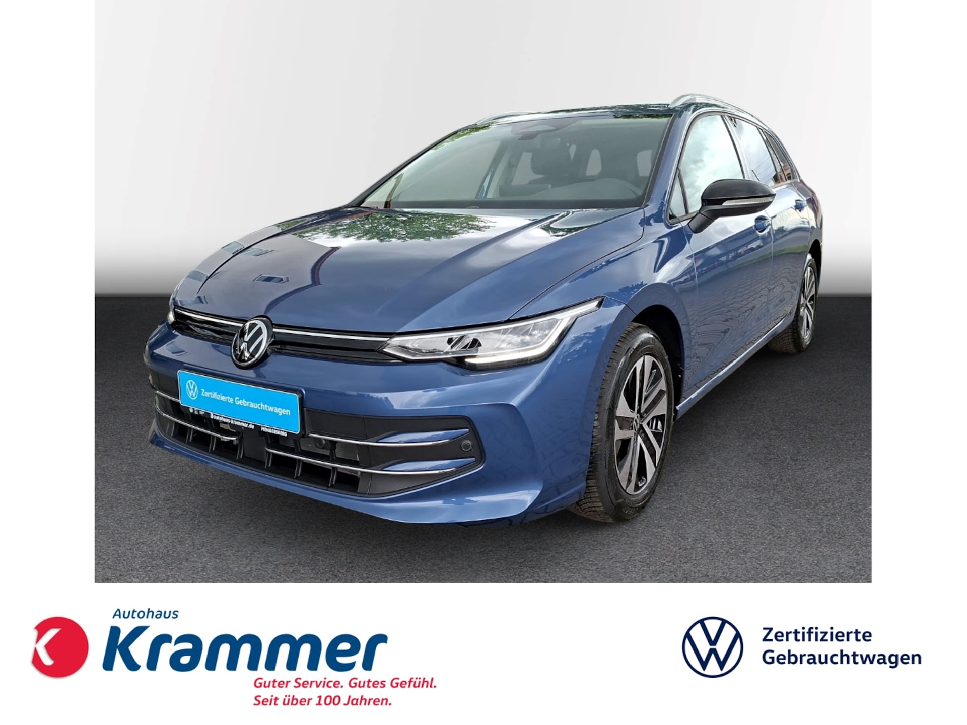 Volkswagen Golf Variant ENERGY