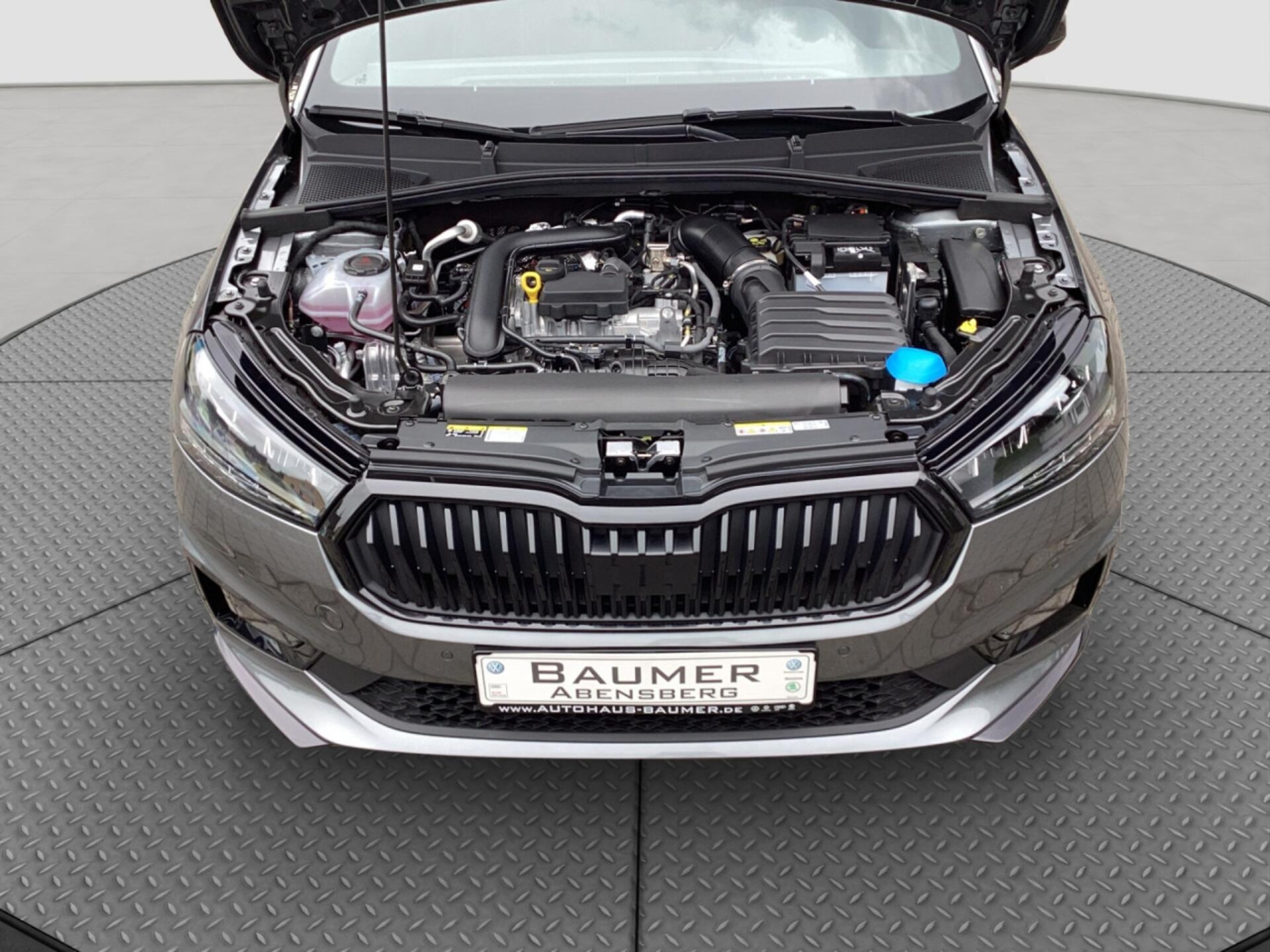 Skoda Fabia Monte Carlo