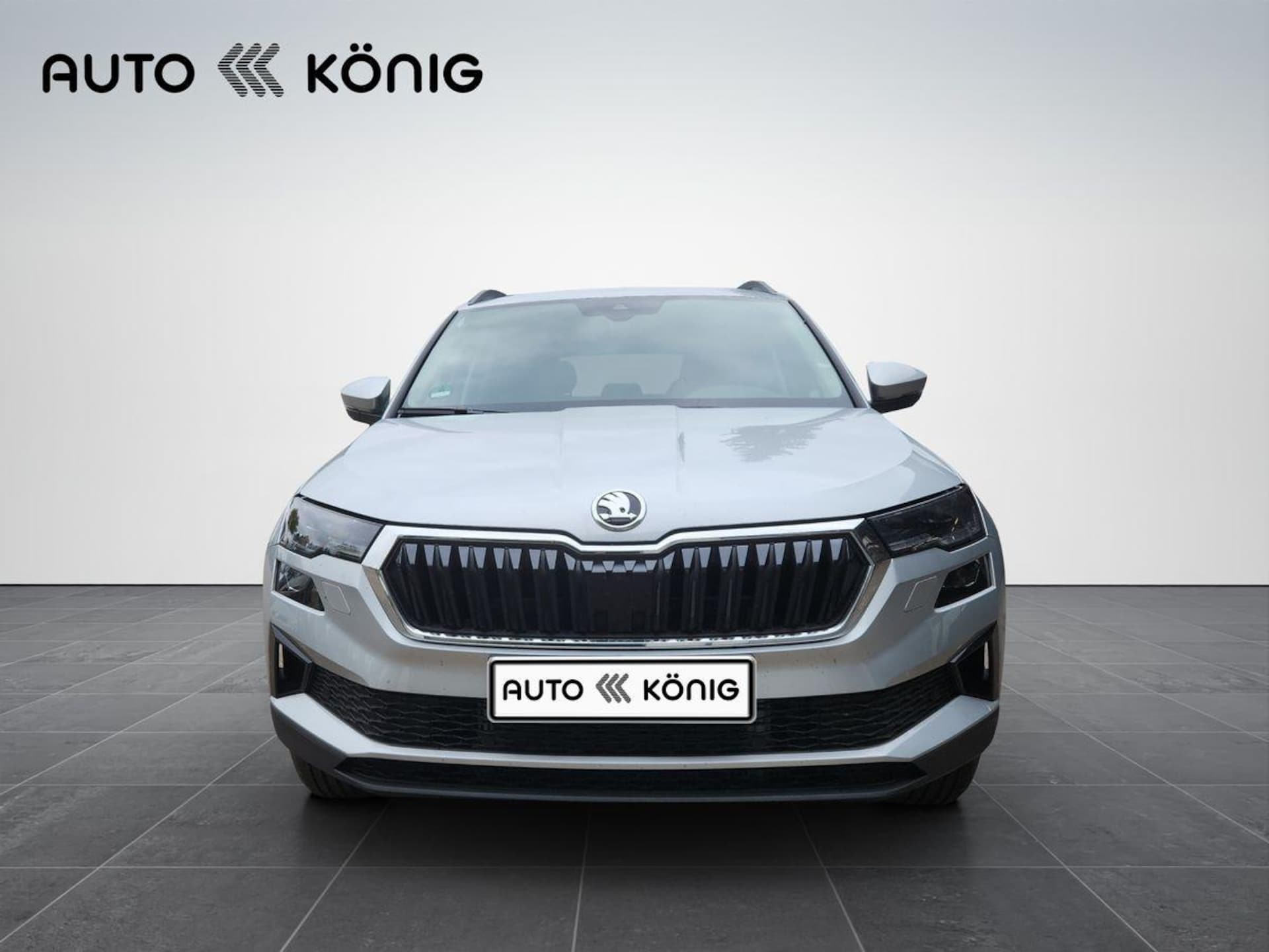 Skoda Karoq Selection